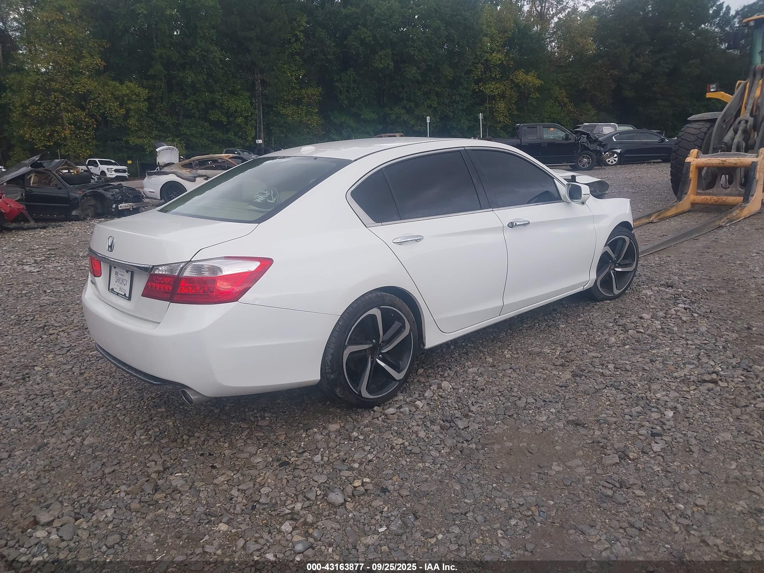 HONDA ACCORD image 4