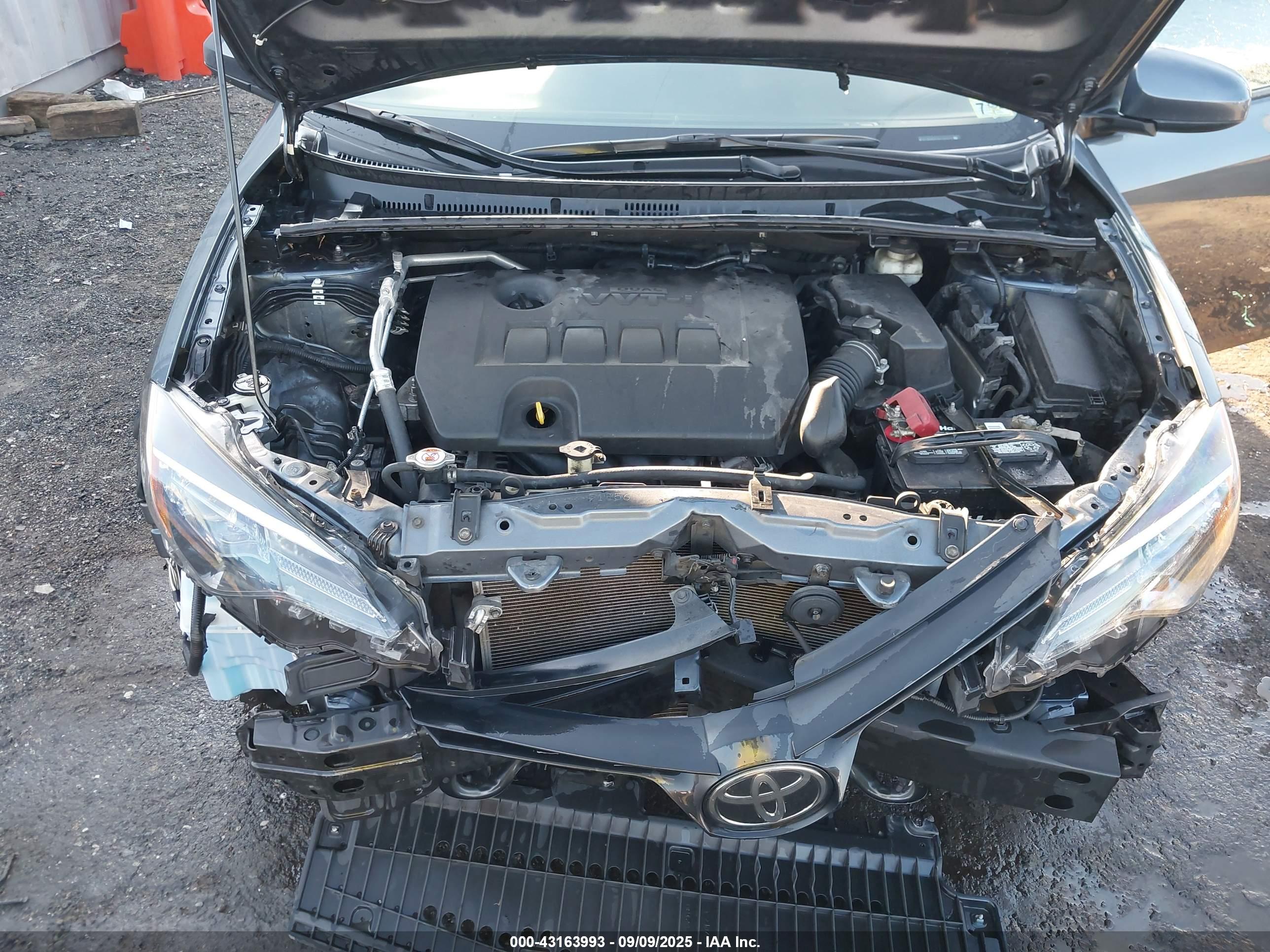 TOYOTA COROLLA image 10