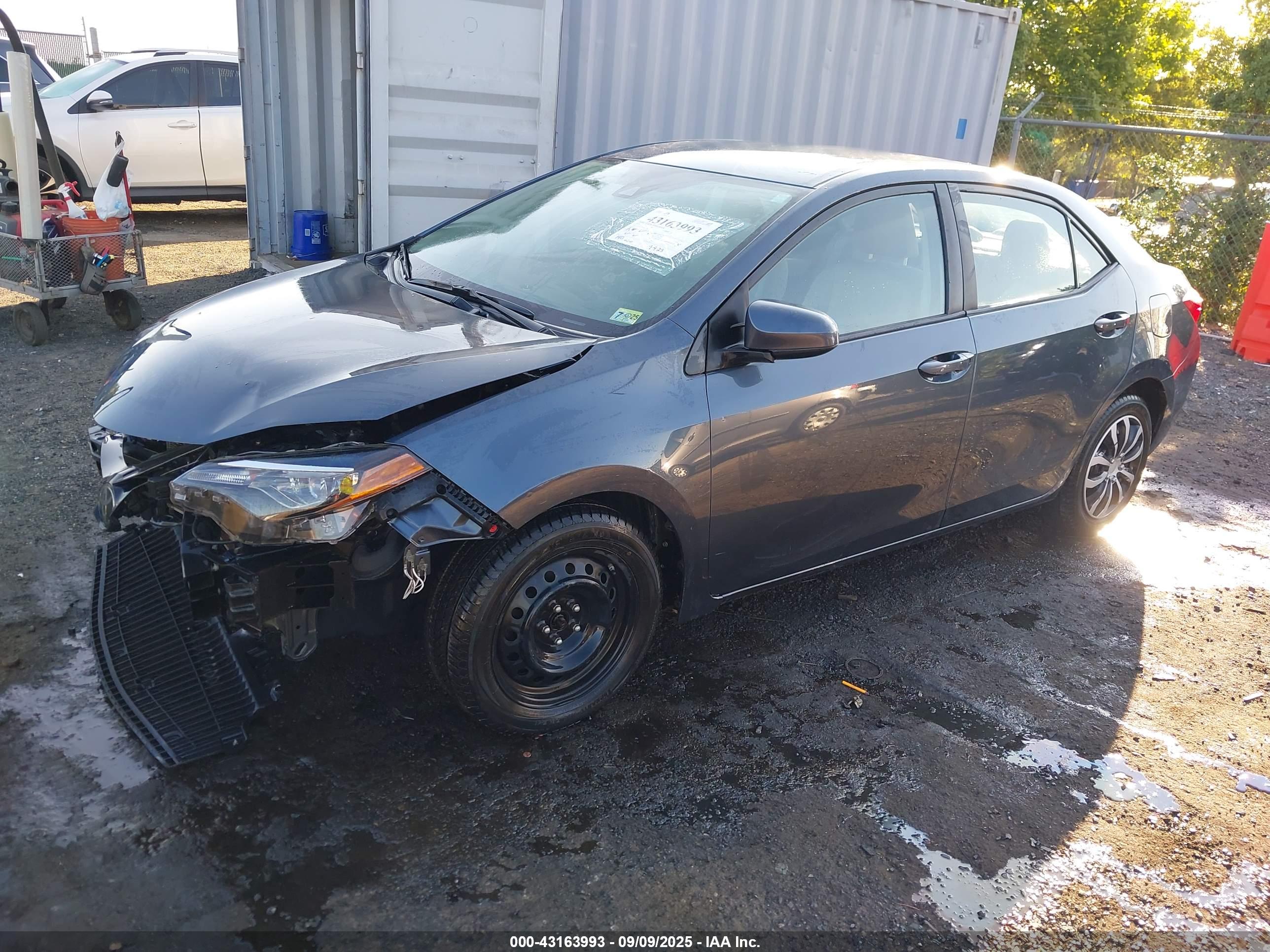 TOYOTA COROLLA image 2