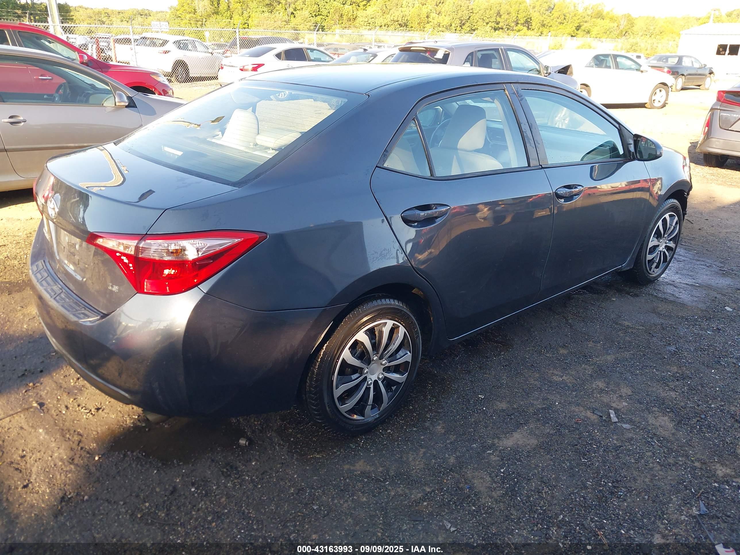 TOYOTA COROLLA image 4