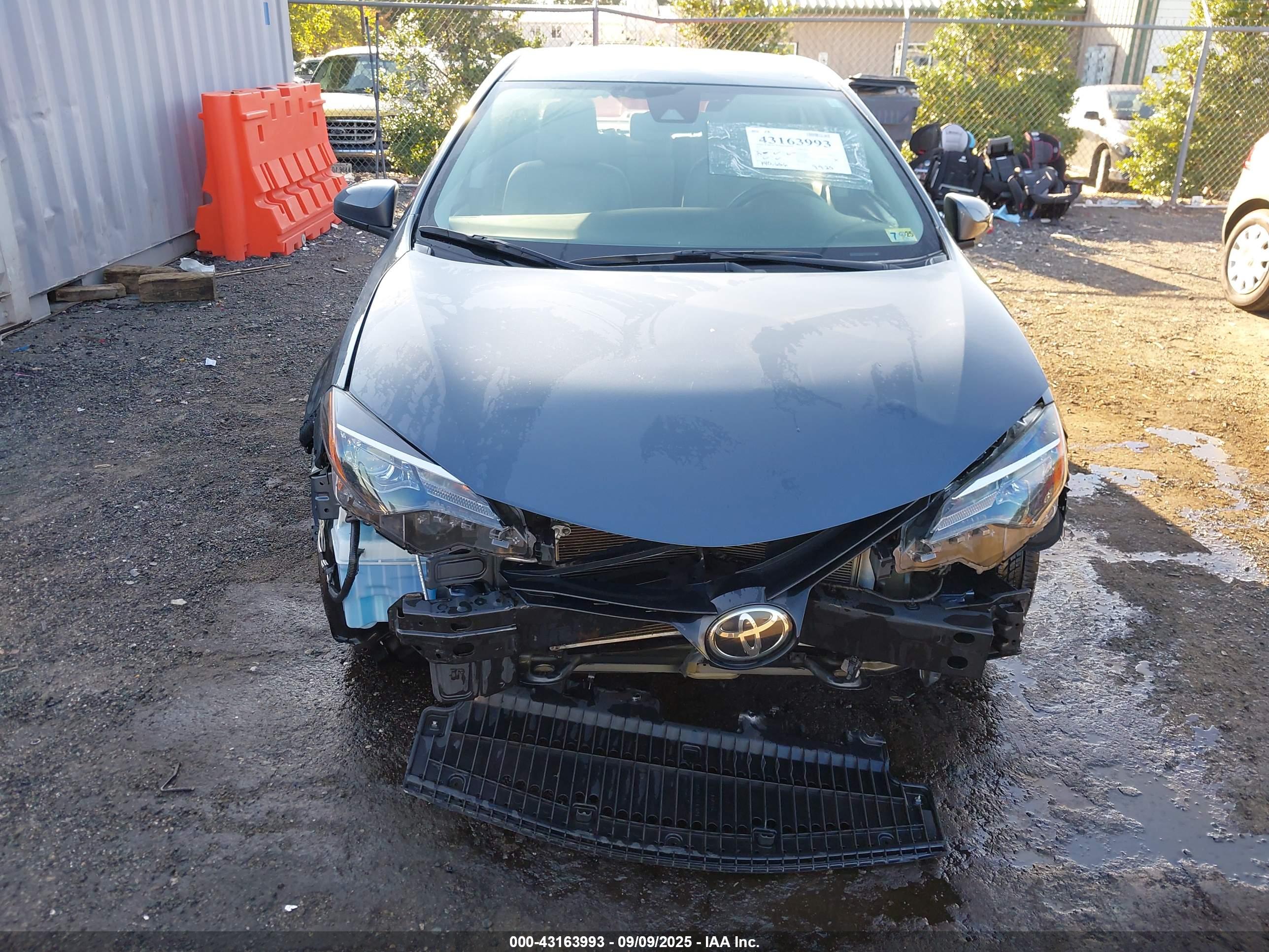 TOYOTA COROLLA image 6