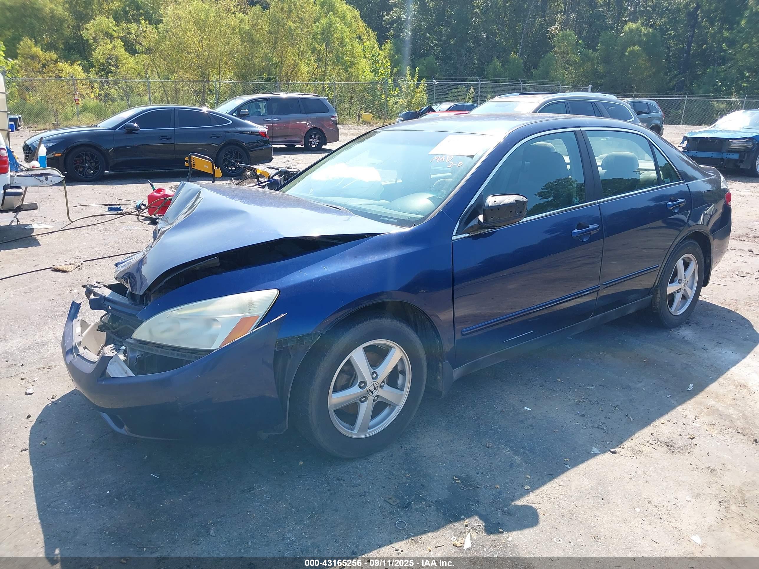 HONDA ACCORD image 2