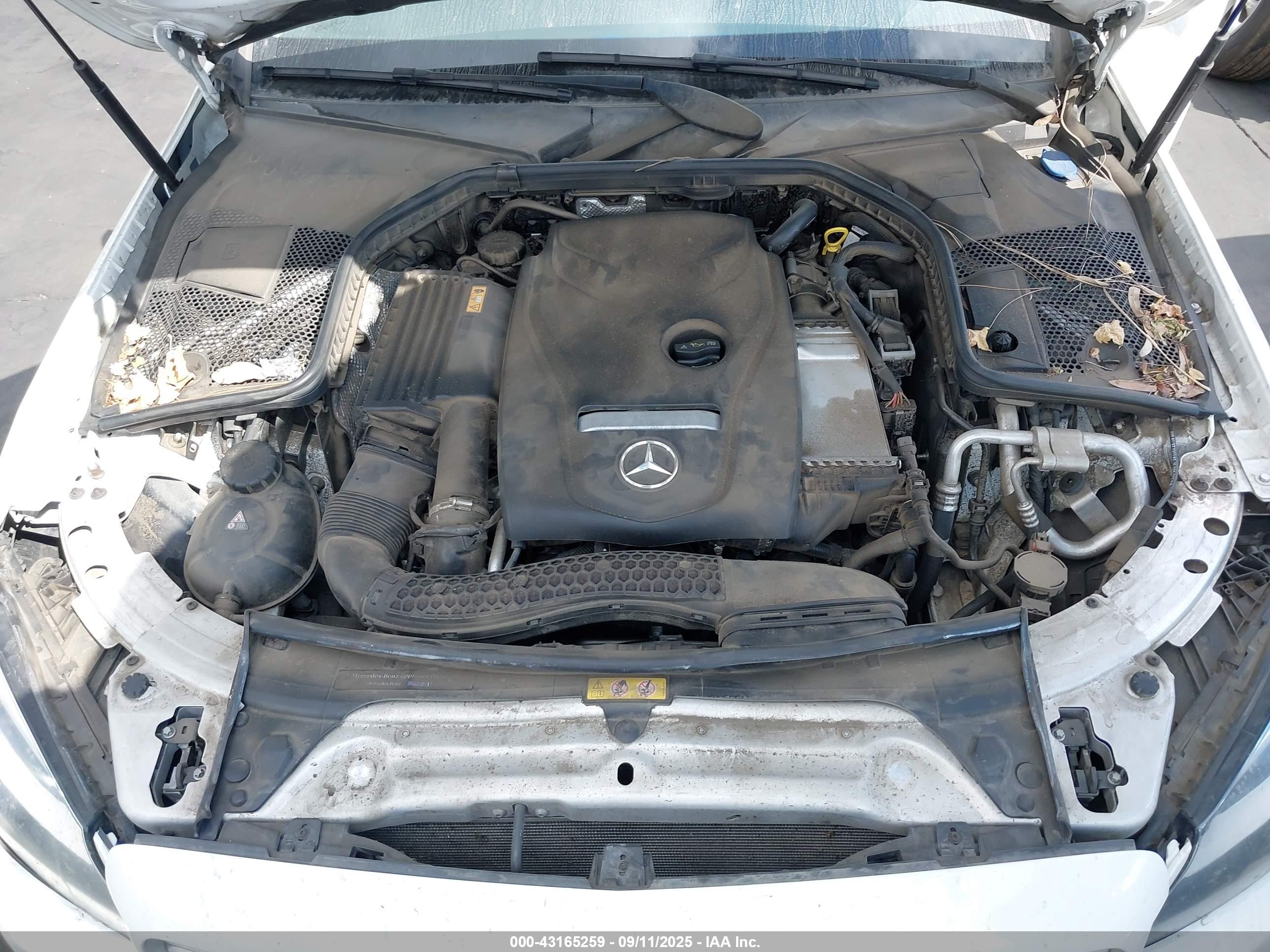 MERCEDES-BENZ C image 10