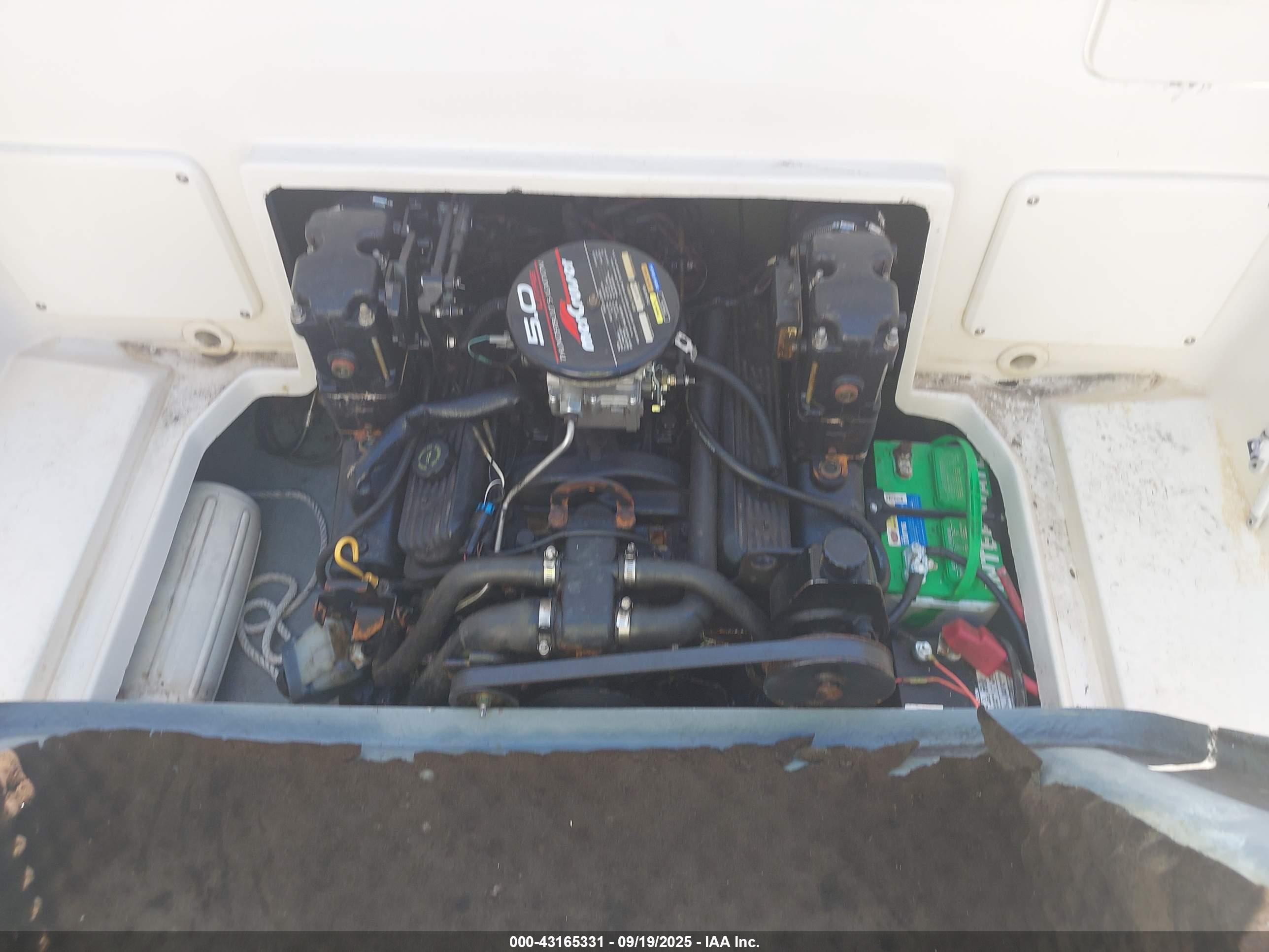 SEA RAY image 10
