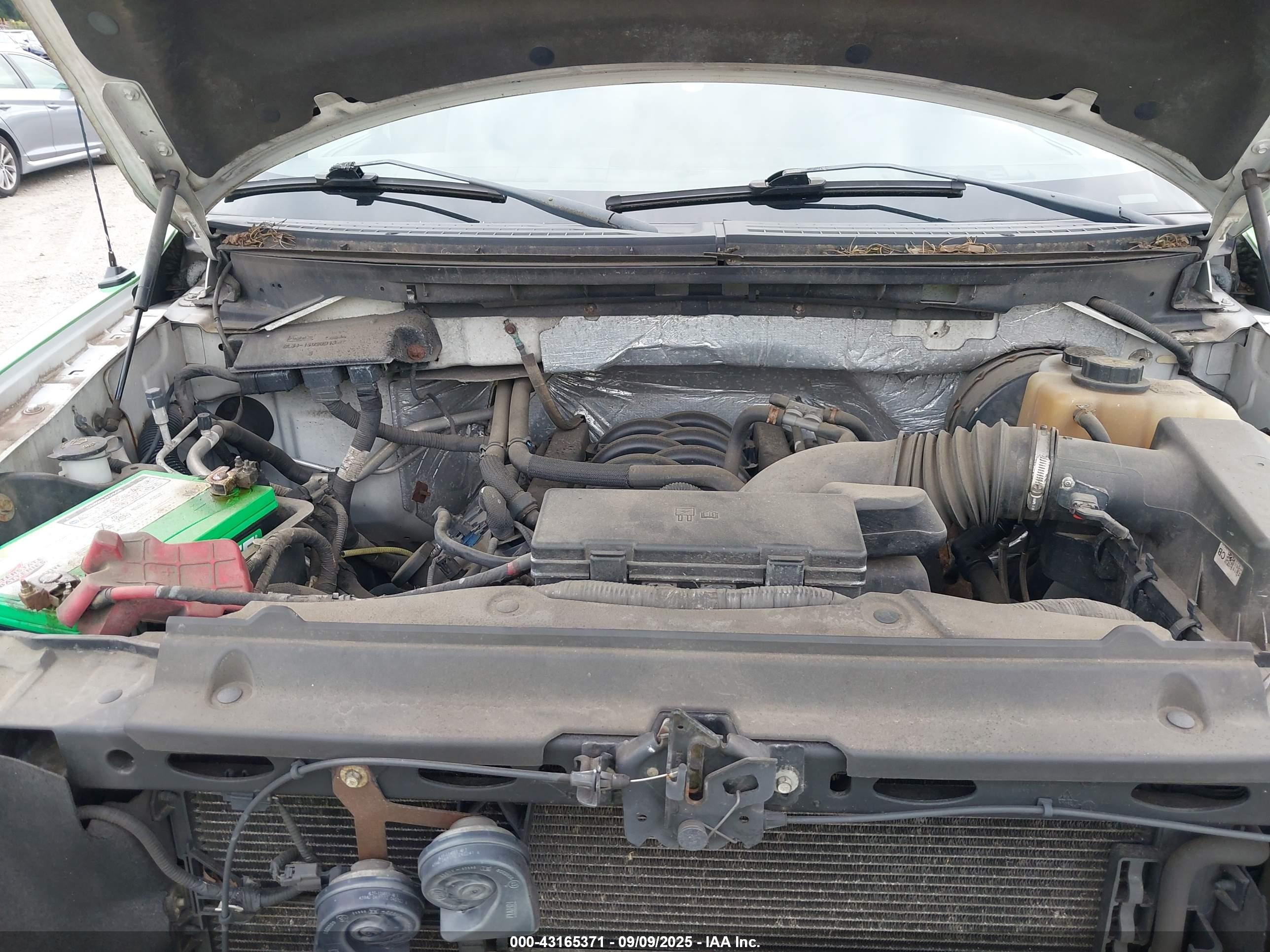 FORD F-150 image 10