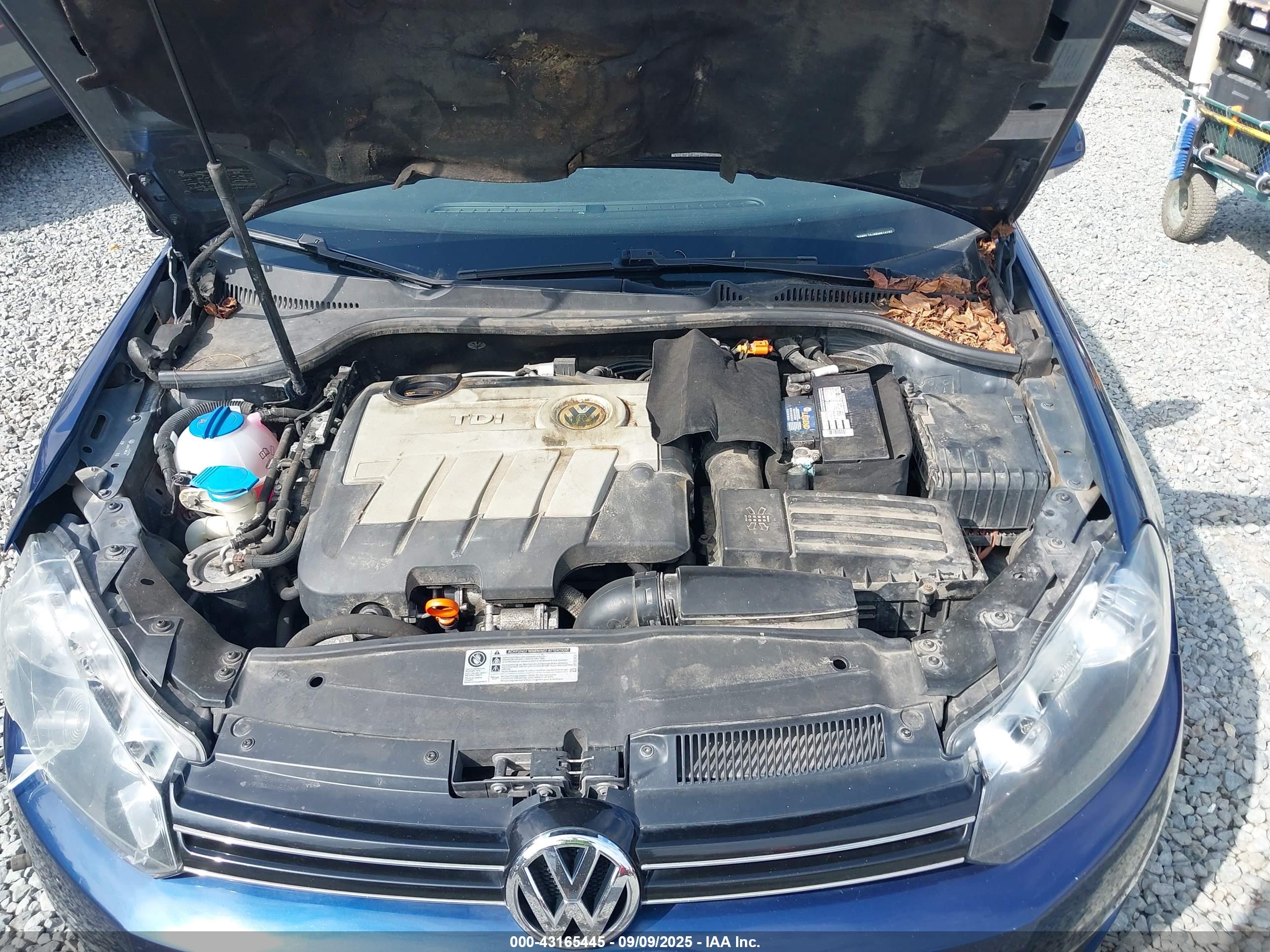 VOLKSWAGEN JETTA image 10