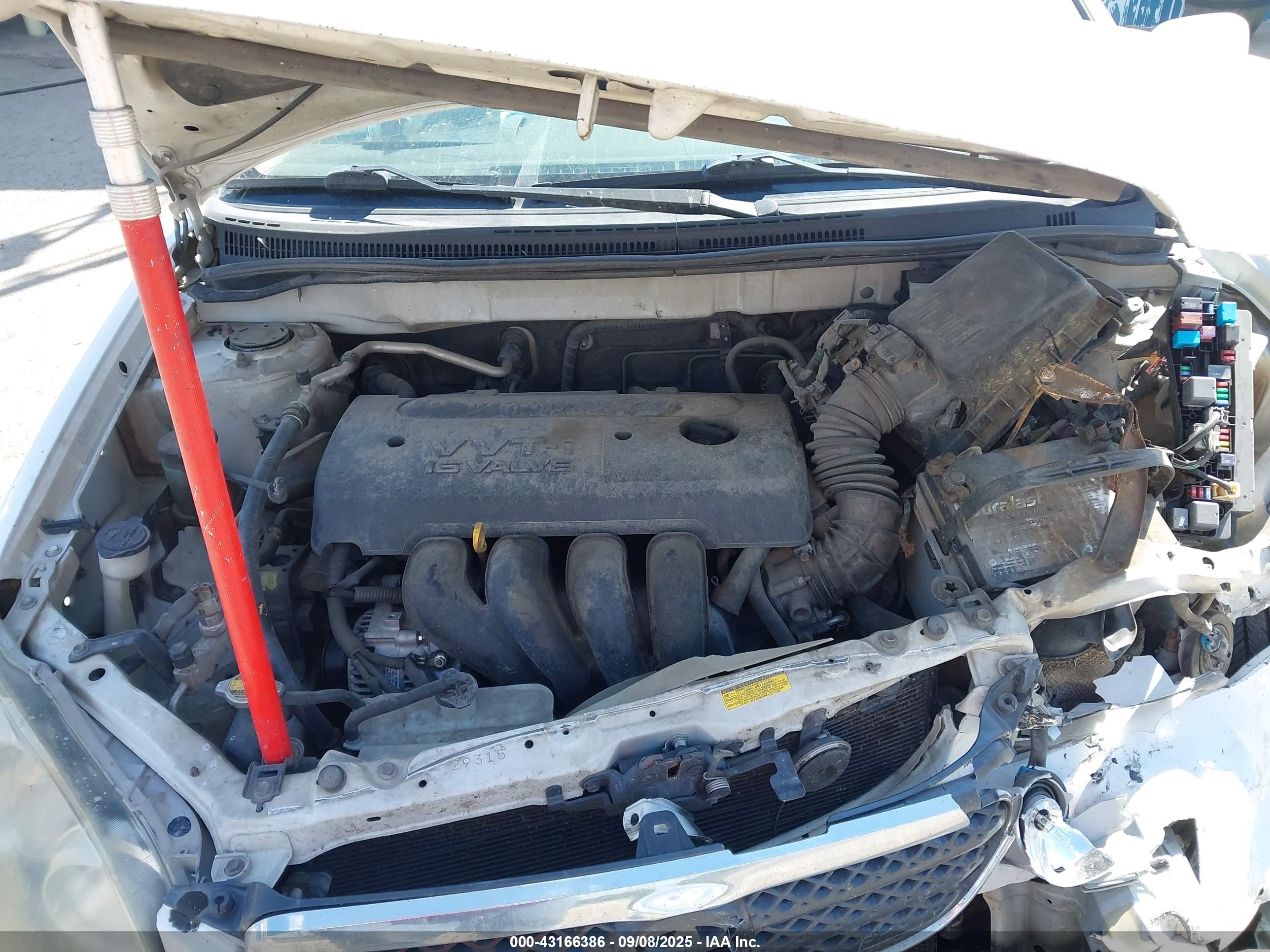 TOYOTA COROLLA image 10