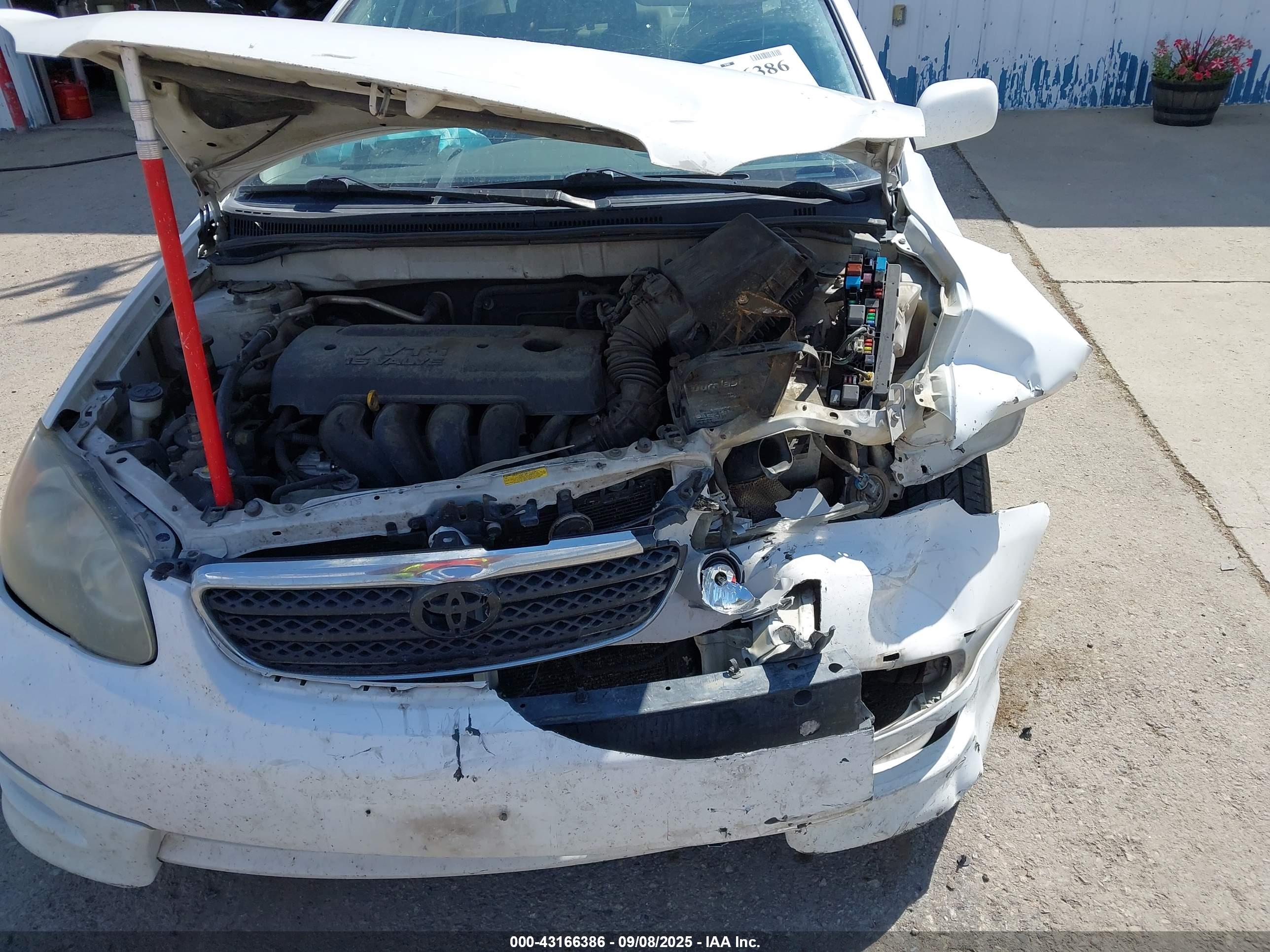 TOYOTA COROLLA image 6