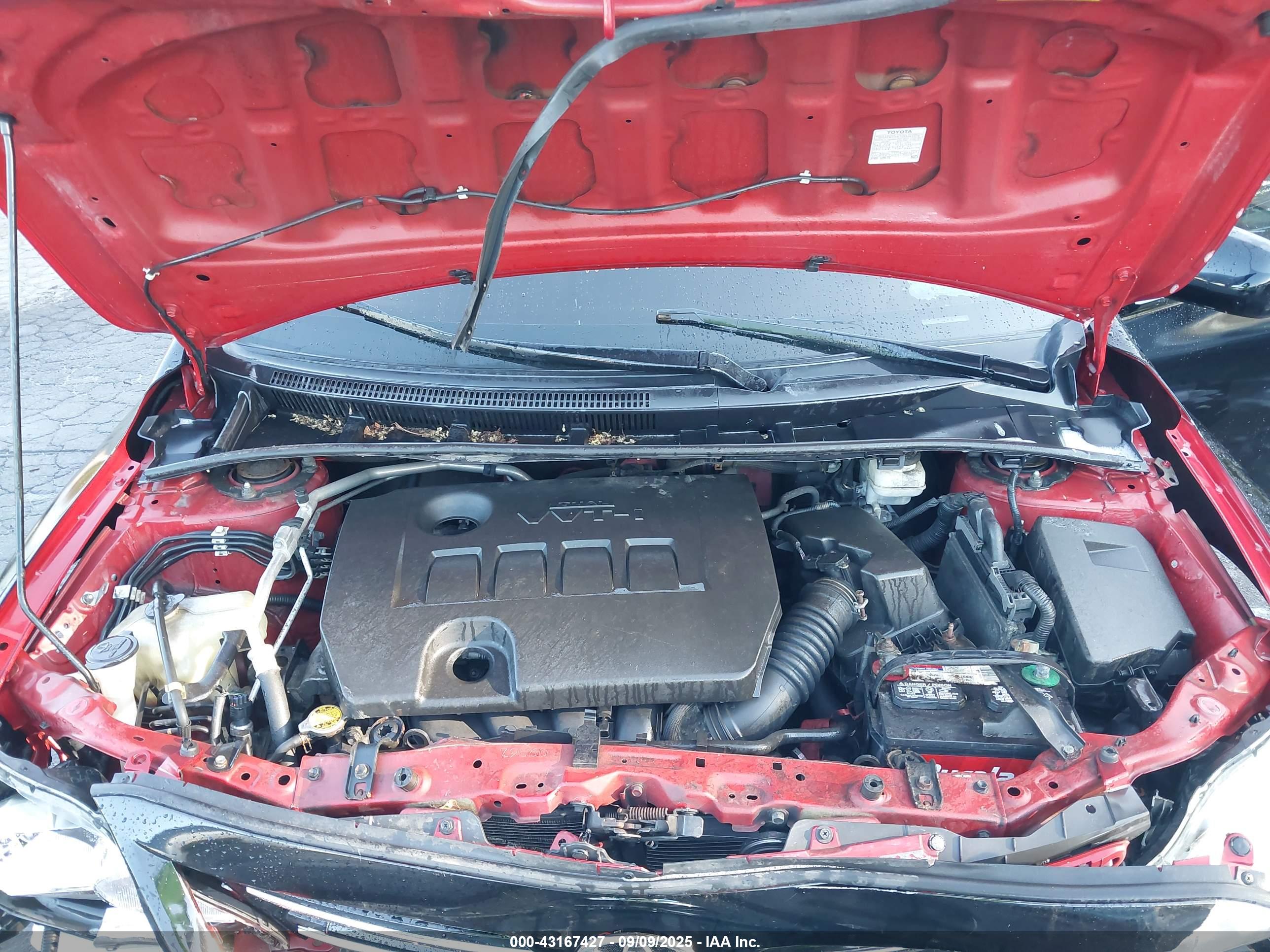 TOYOTA COROLLA image 10