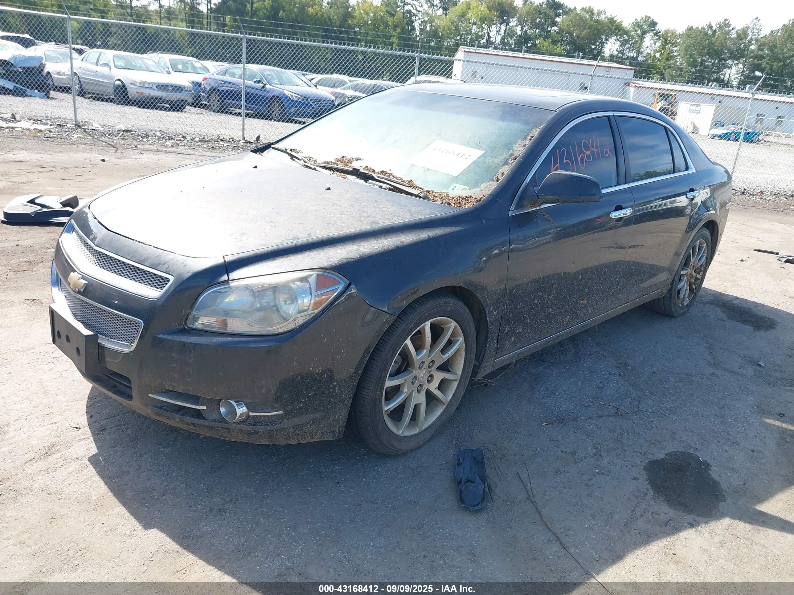 CHEVROLET MALIBU image 2