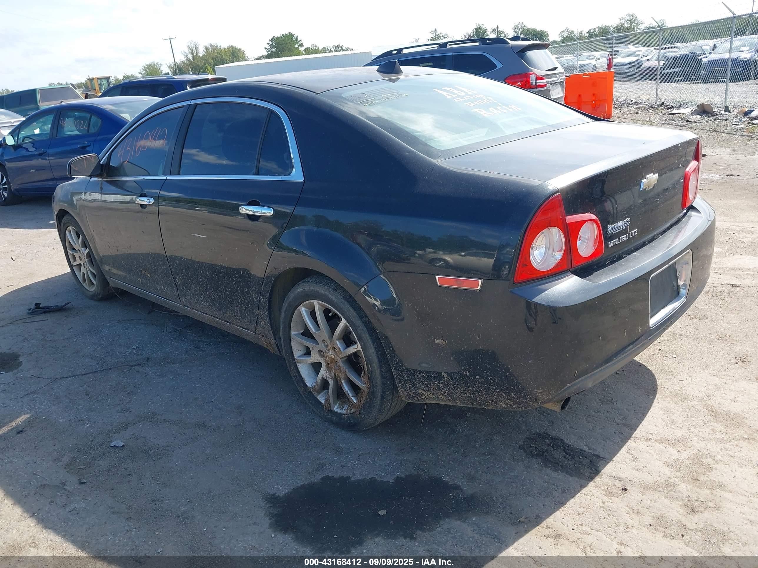 CHEVROLET MALIBU image 3