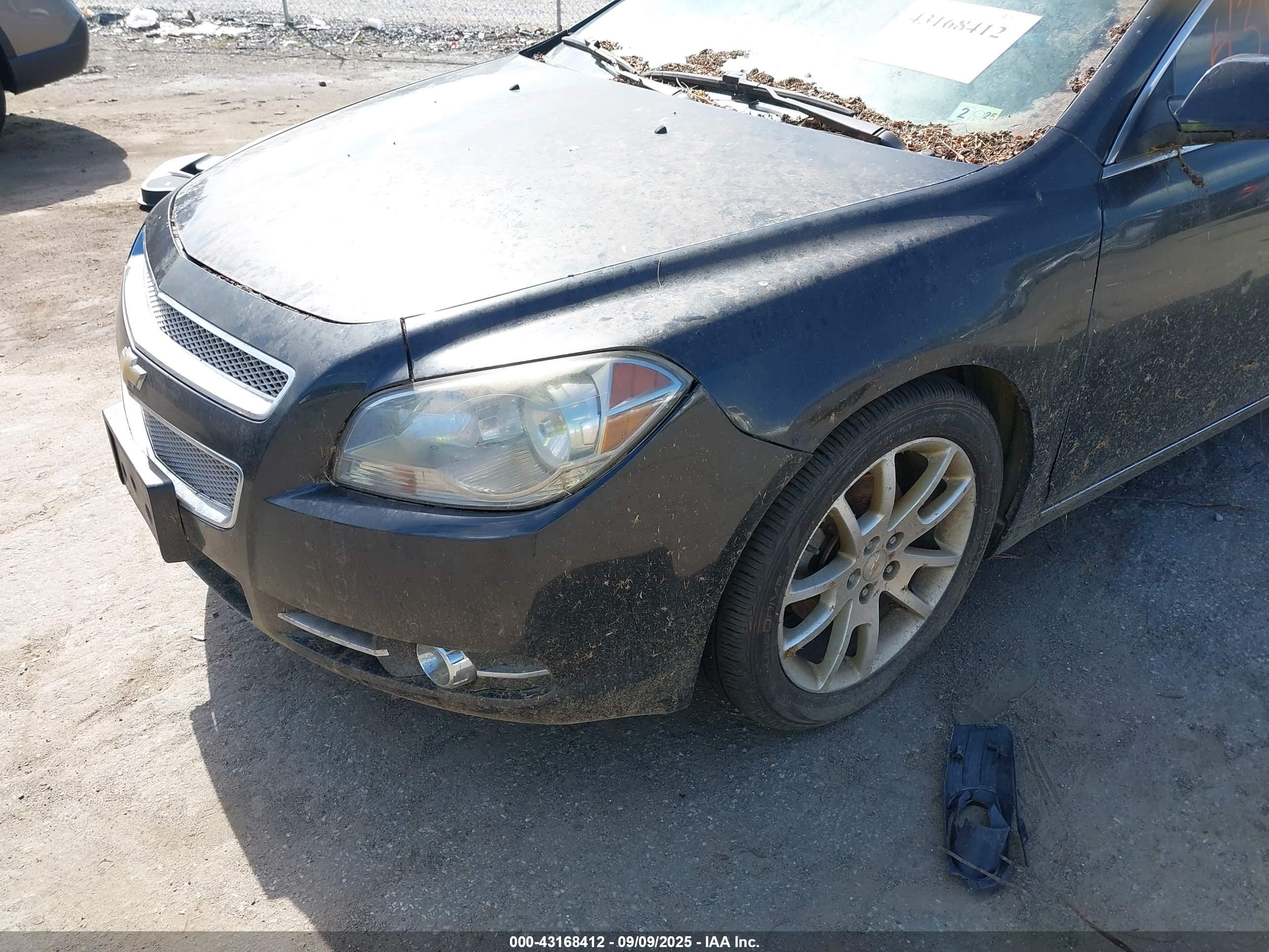 CHEVROLET MALIBU image 6