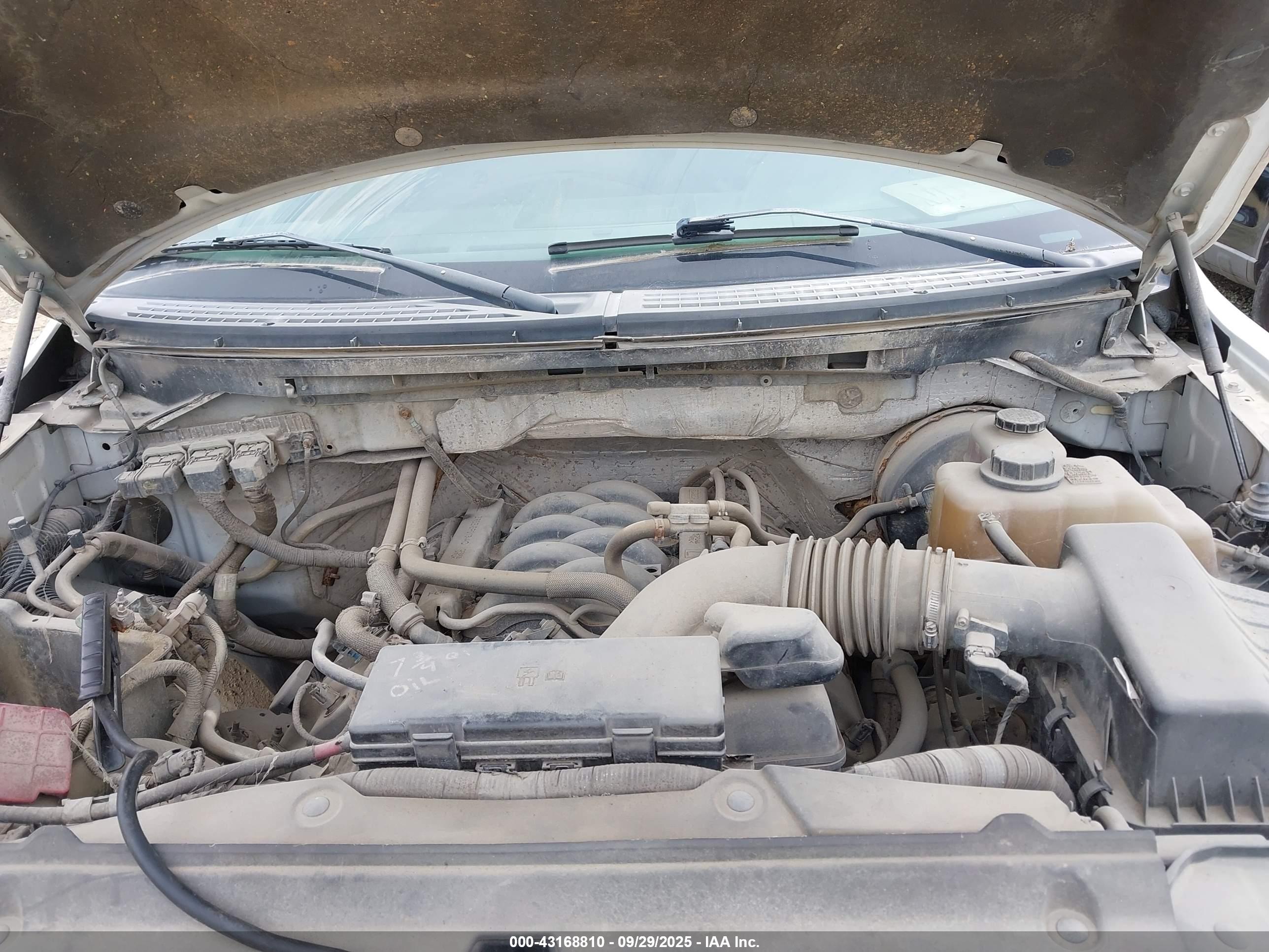FORD F-150 image 10