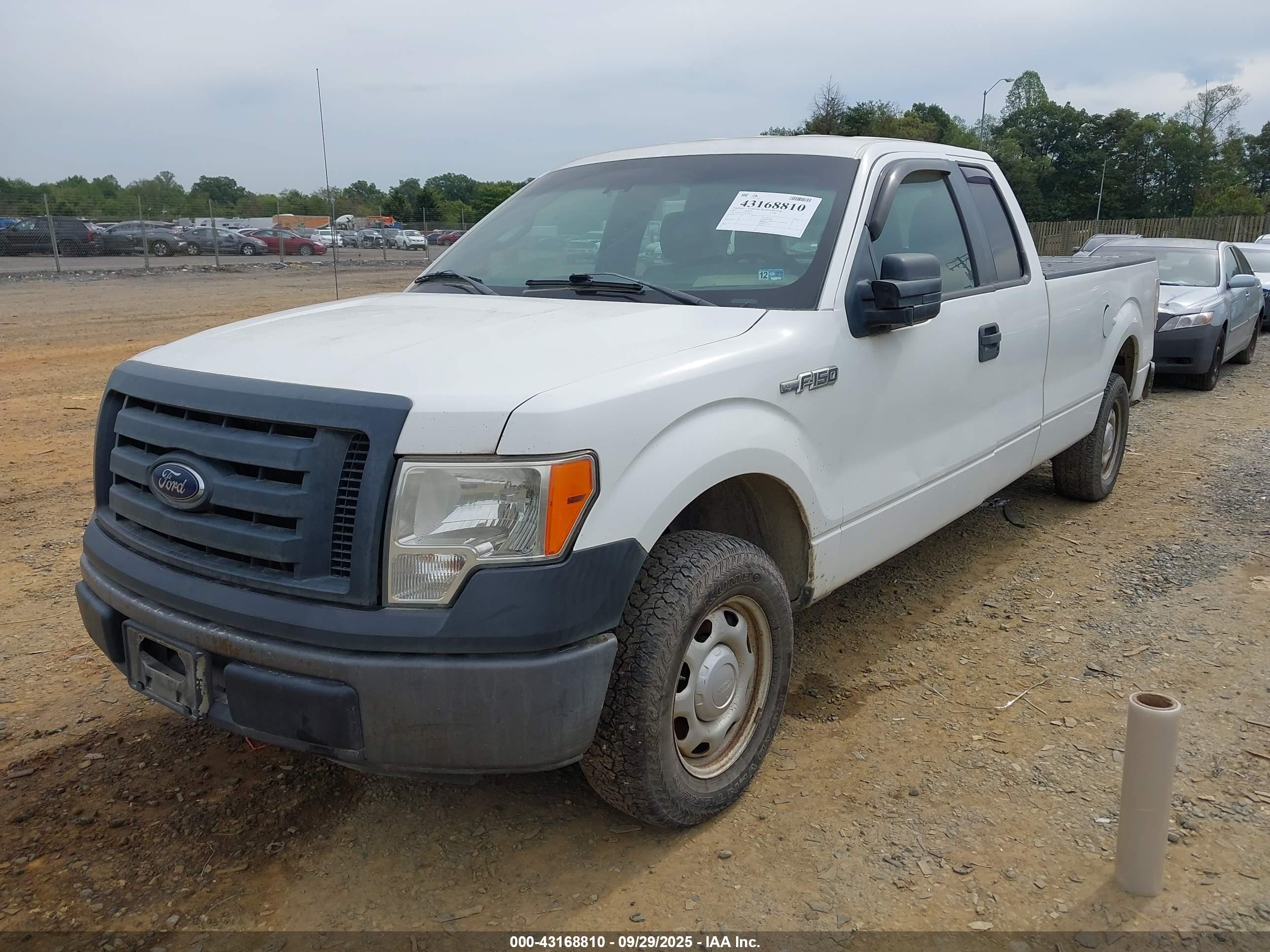 FORD F-150 image 2