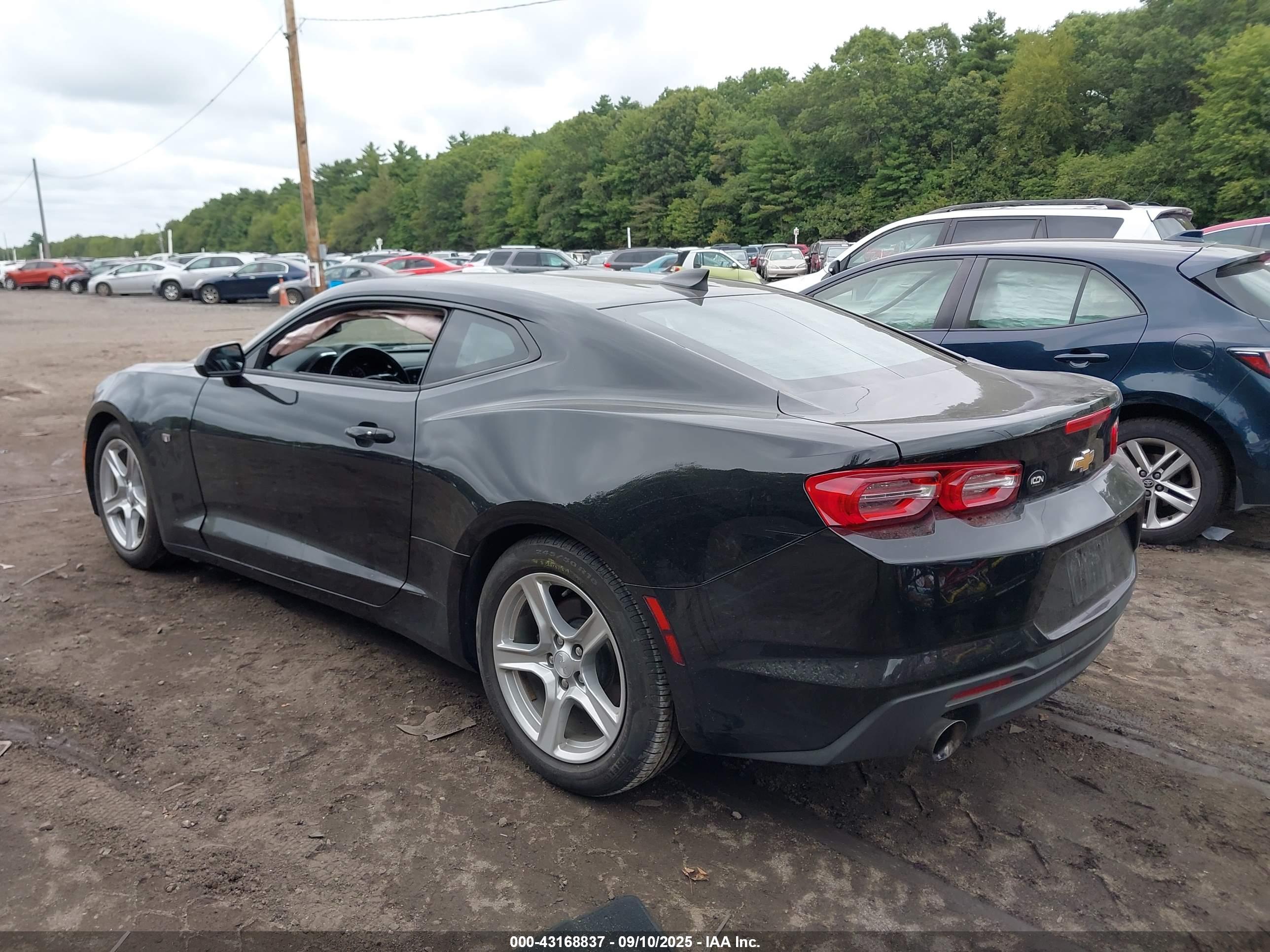 CHEVROLET CAMARO image 3