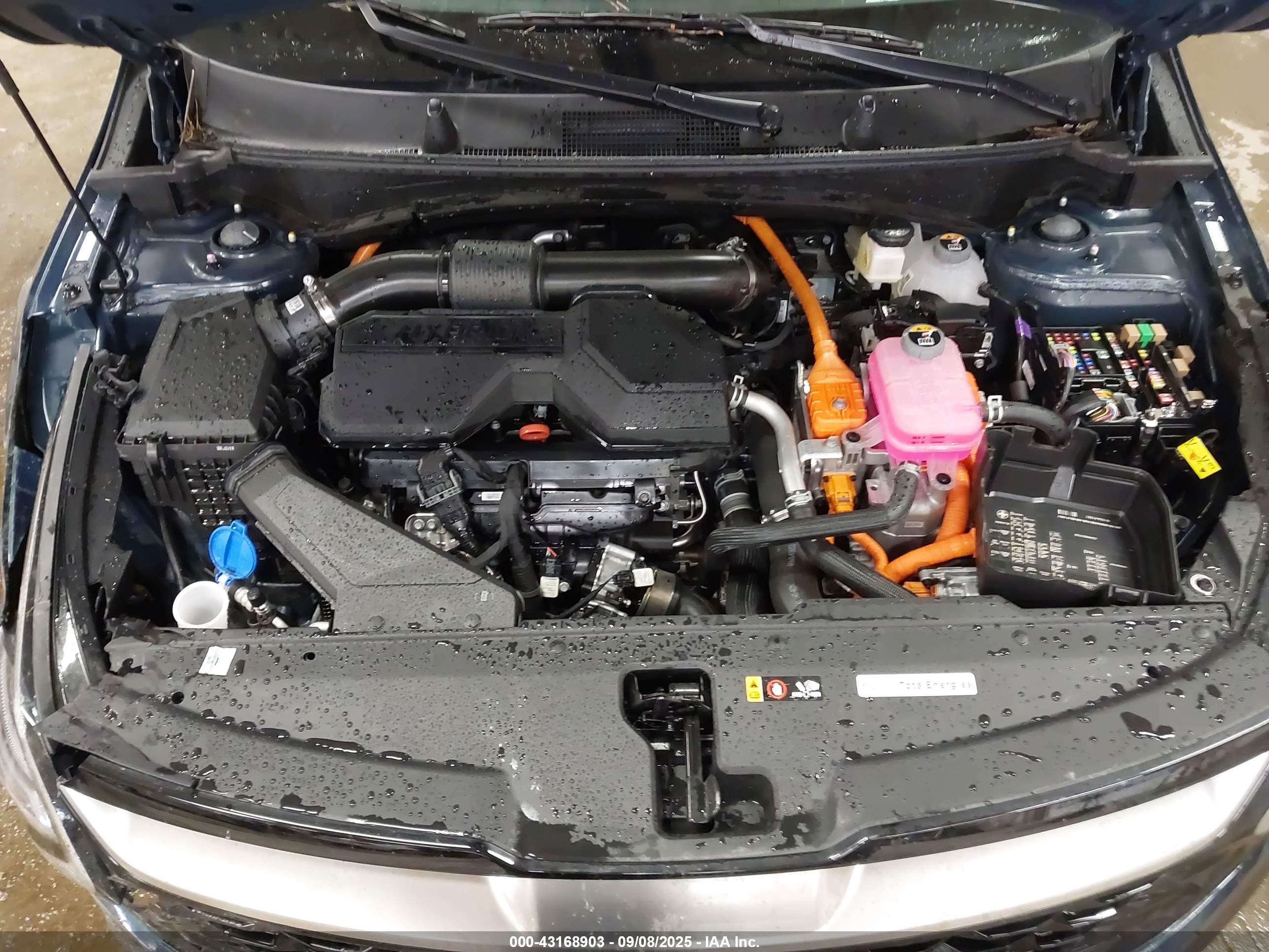 KIA SPORTAGE image 10