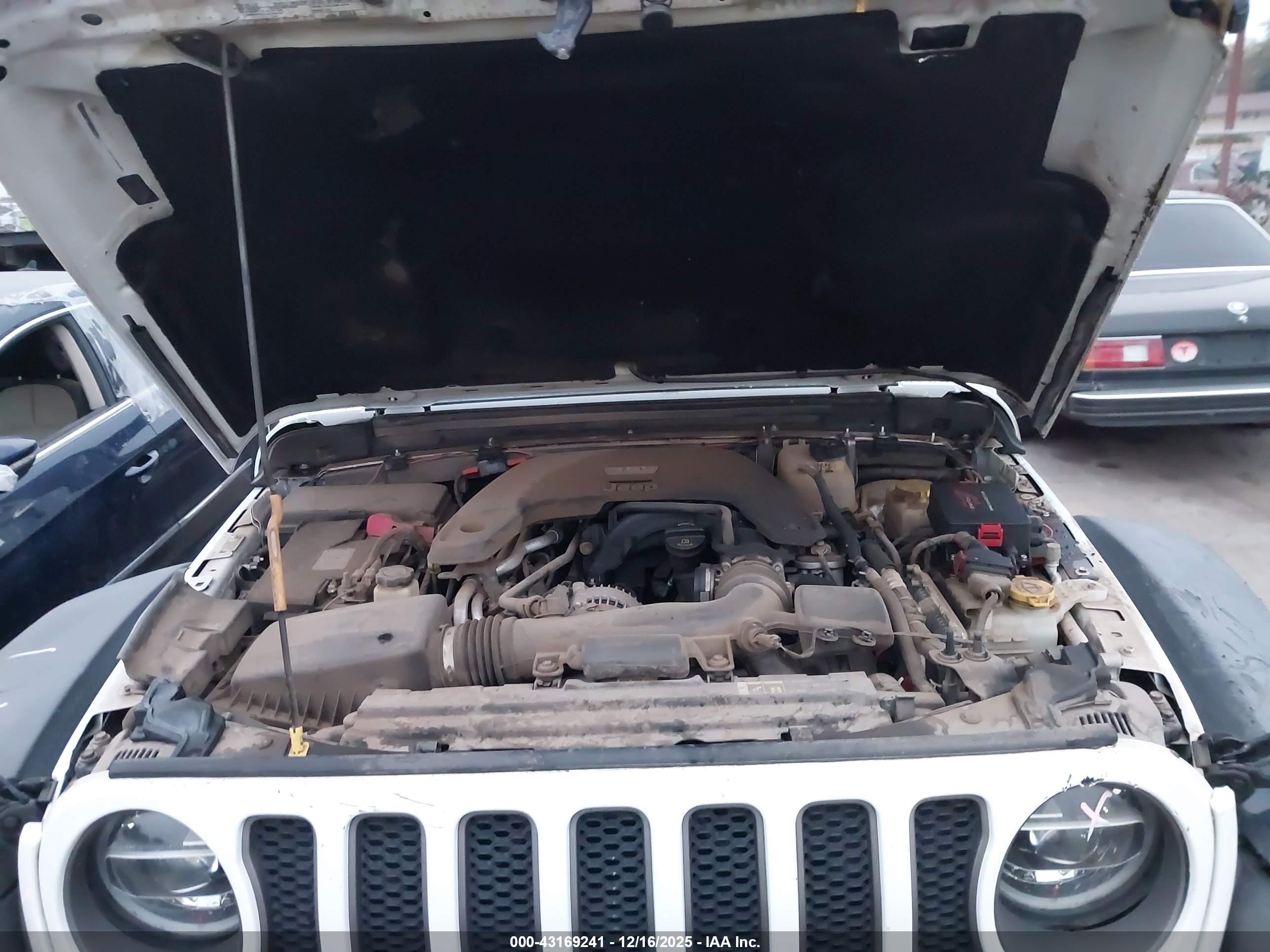 JEEP WRANGLER image 10