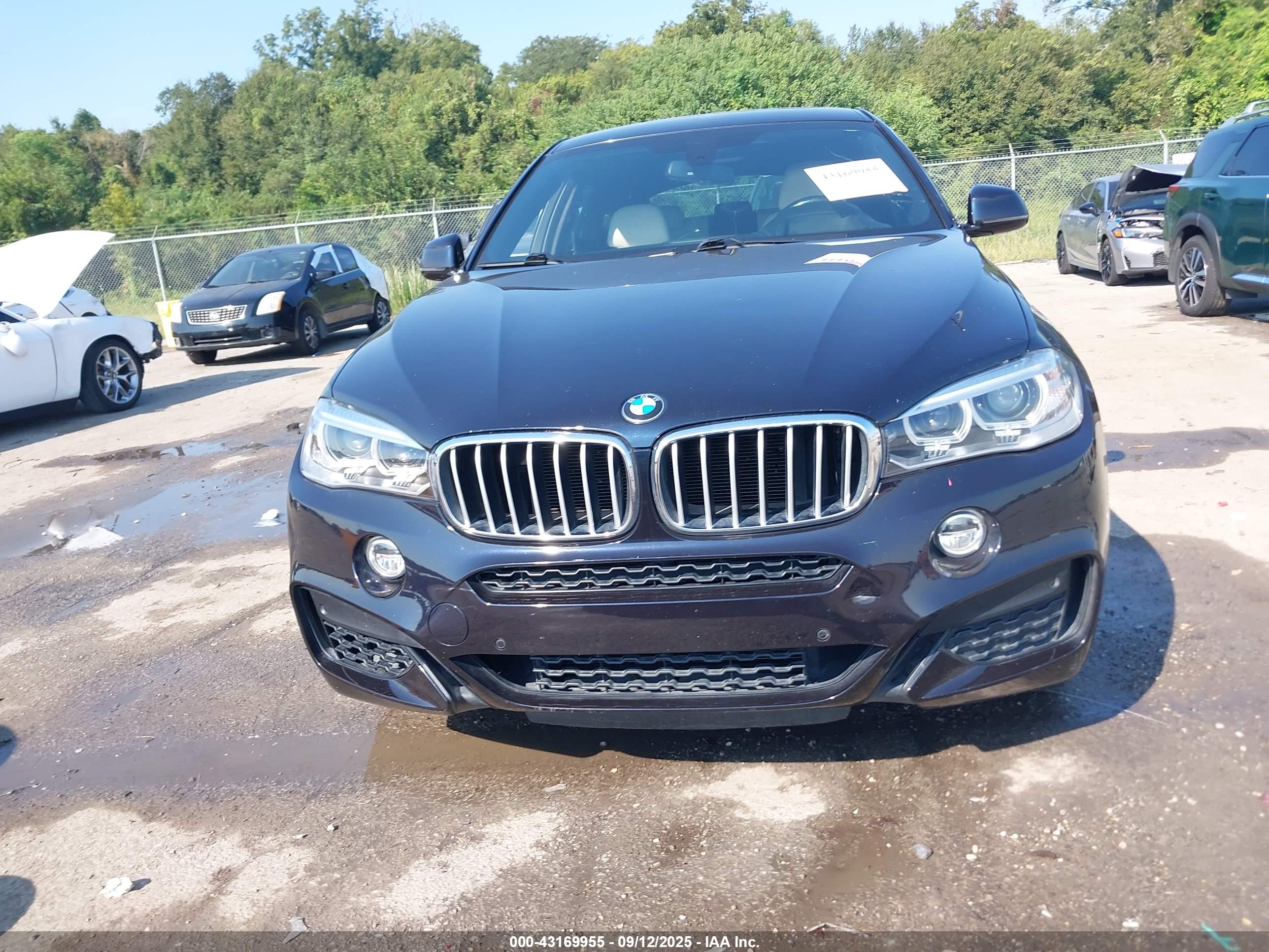 BMW X6 image 6