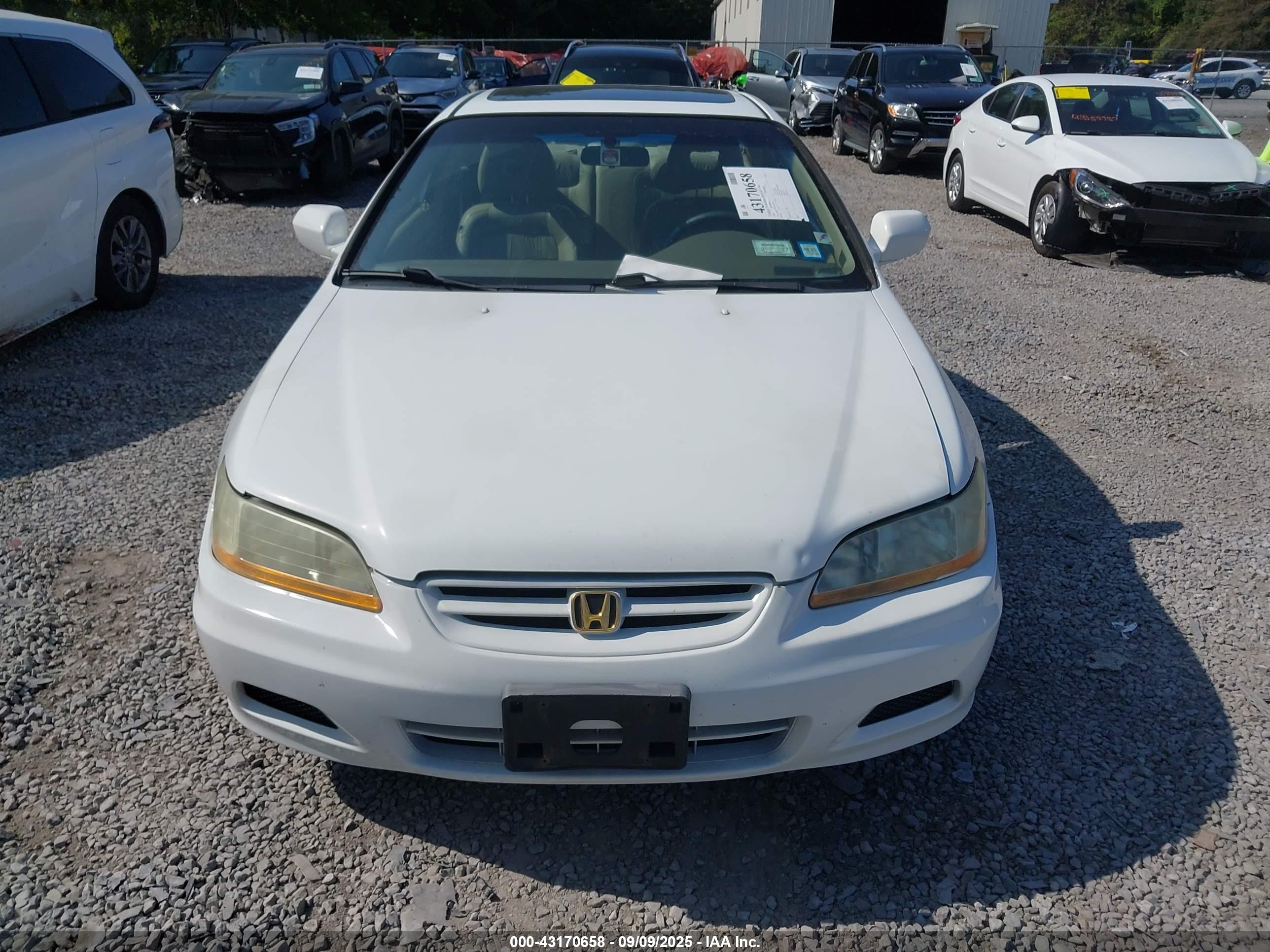 HONDA ACCORD image 6