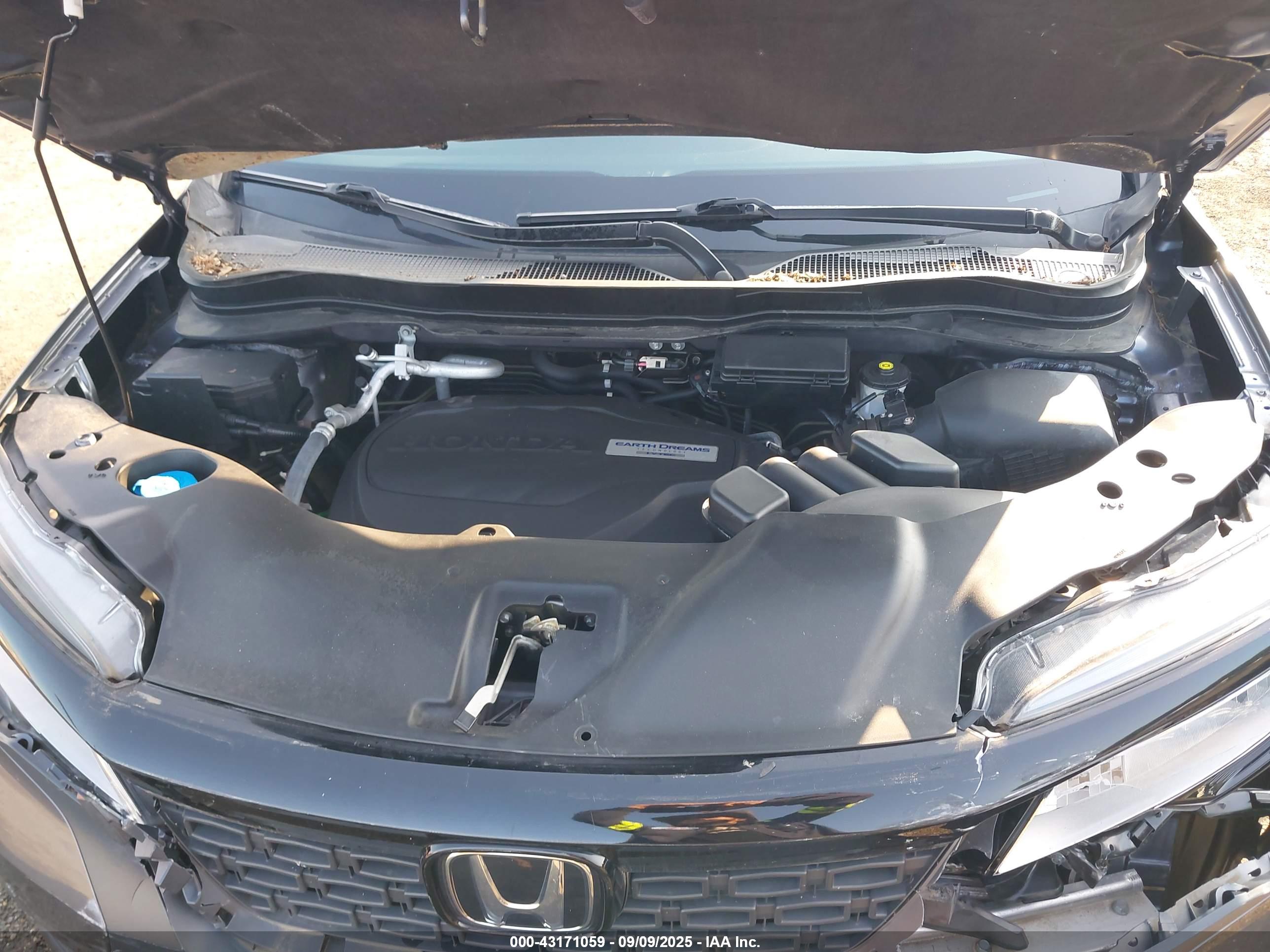 HONDA PASSPORT image 10