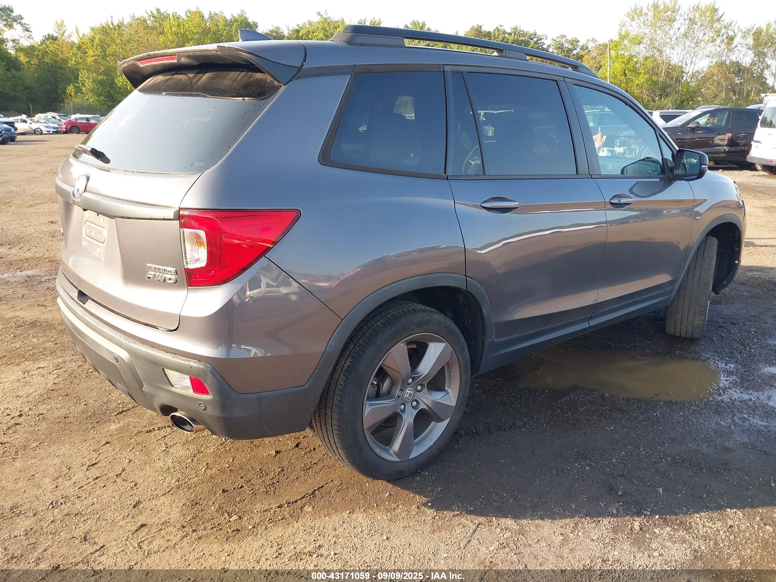 HONDA PASSPORT image 4