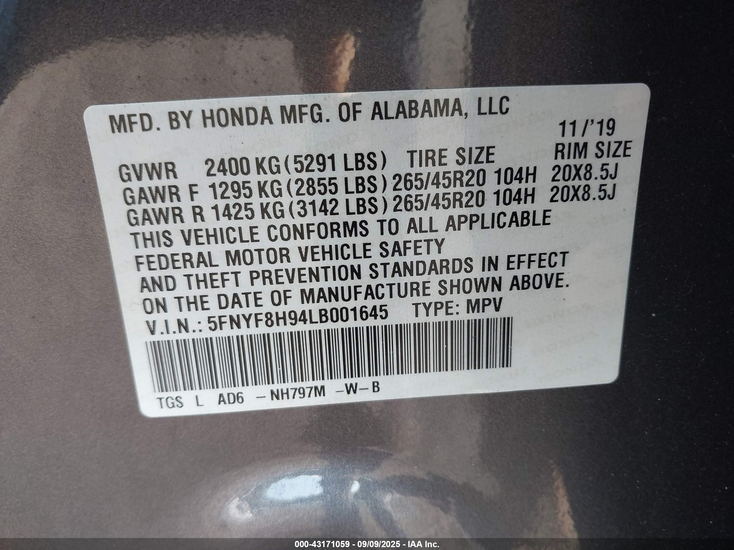 HONDA PASSPORT image 9