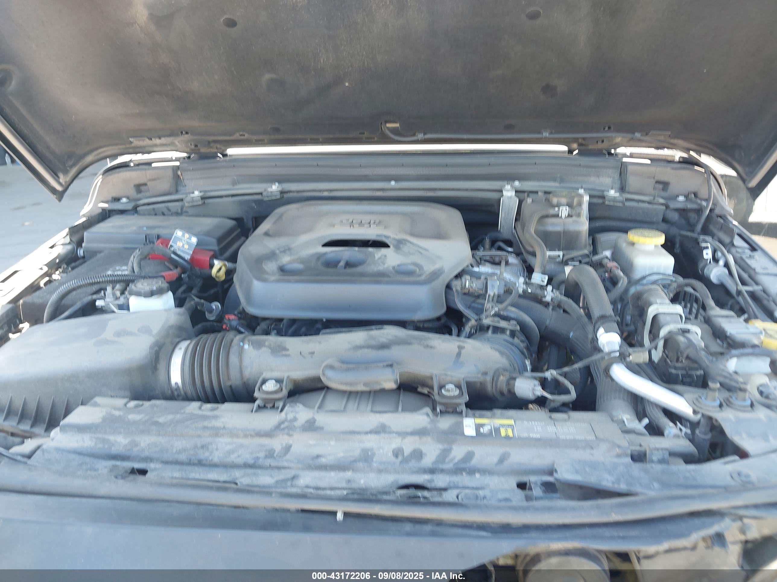 JEEP WRANGLER image 10