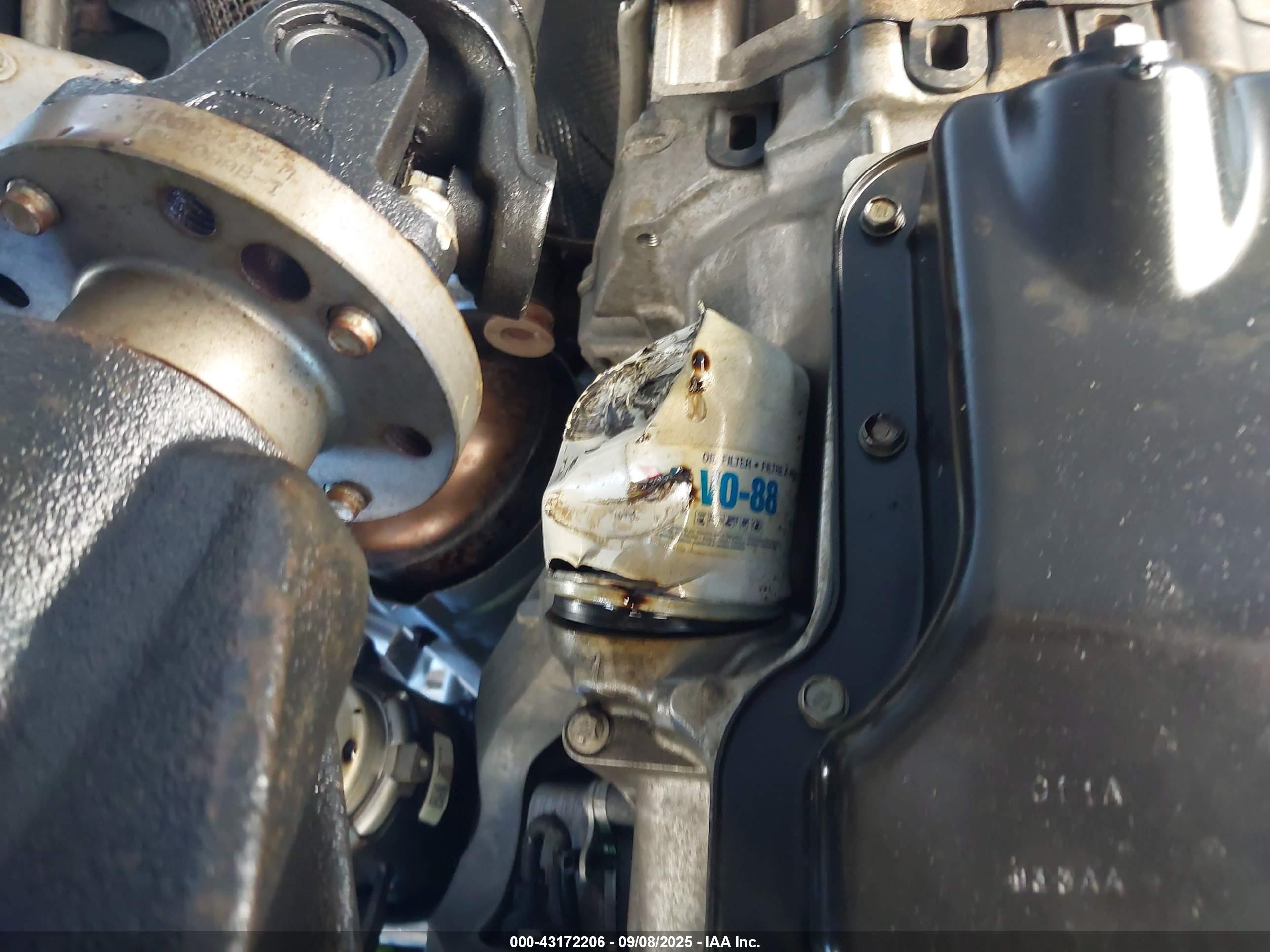 JEEP WRANGLER image 6