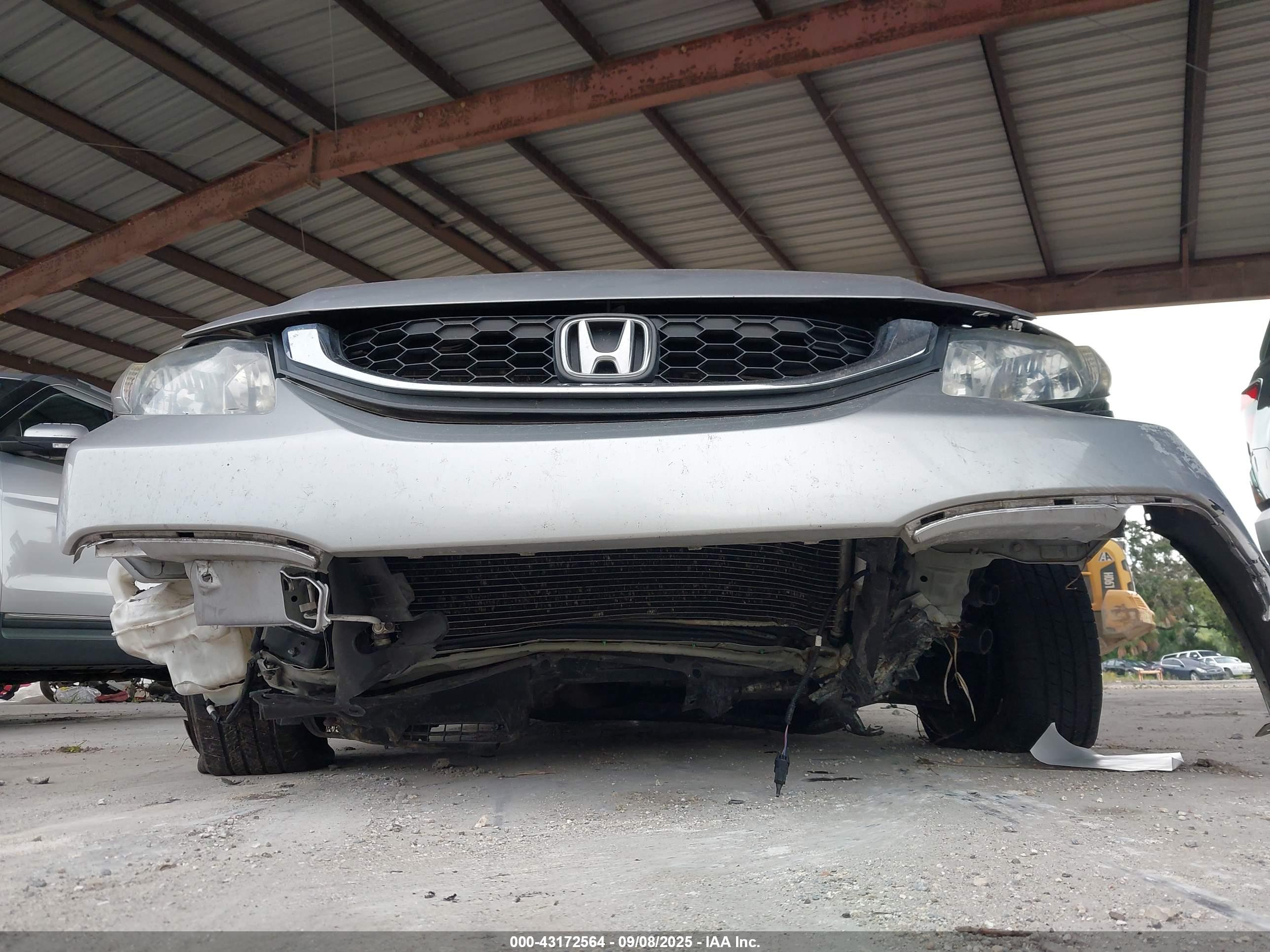 HONDA CIVIC image 6