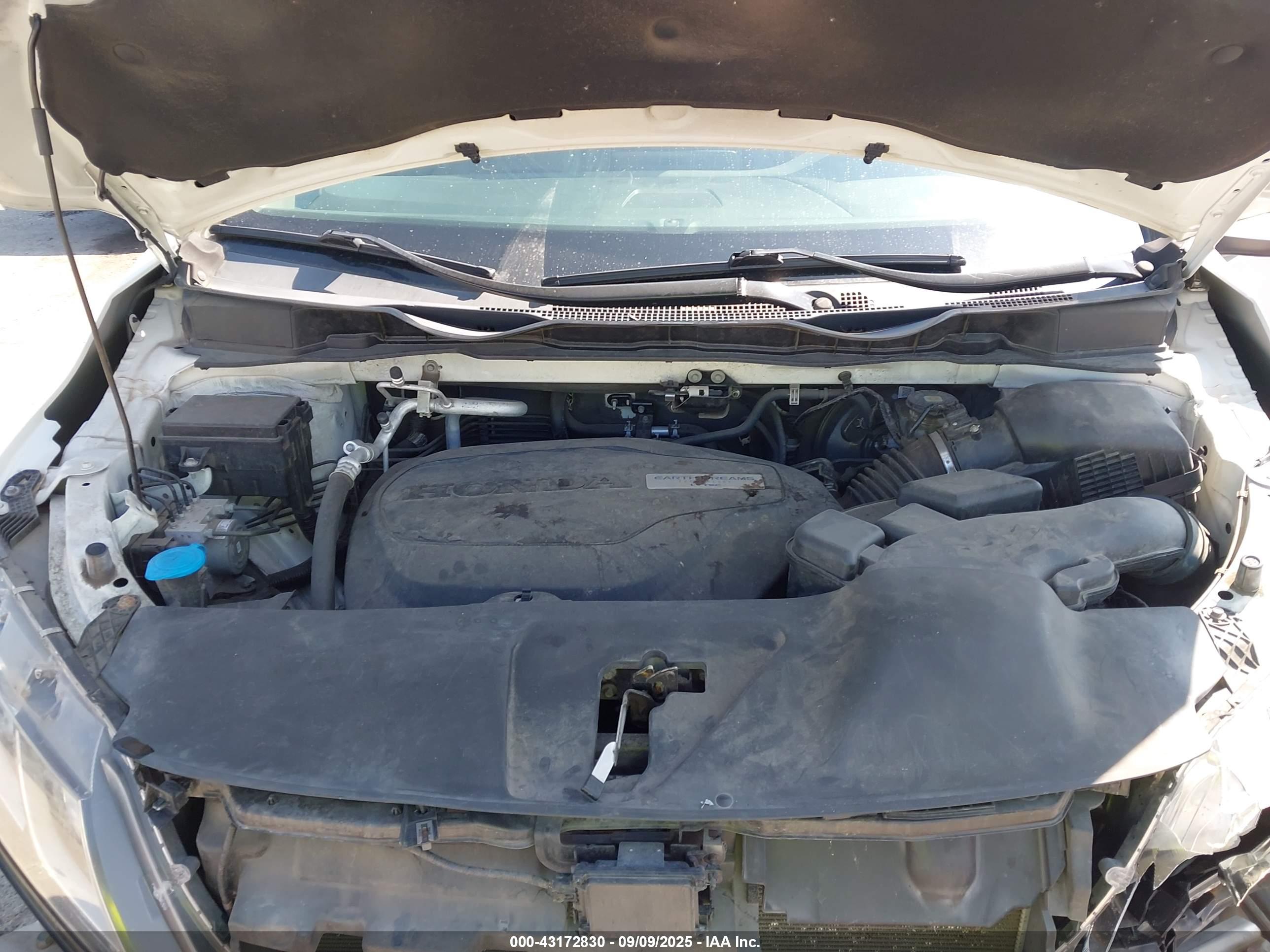 HONDA ODYSSEY image 10