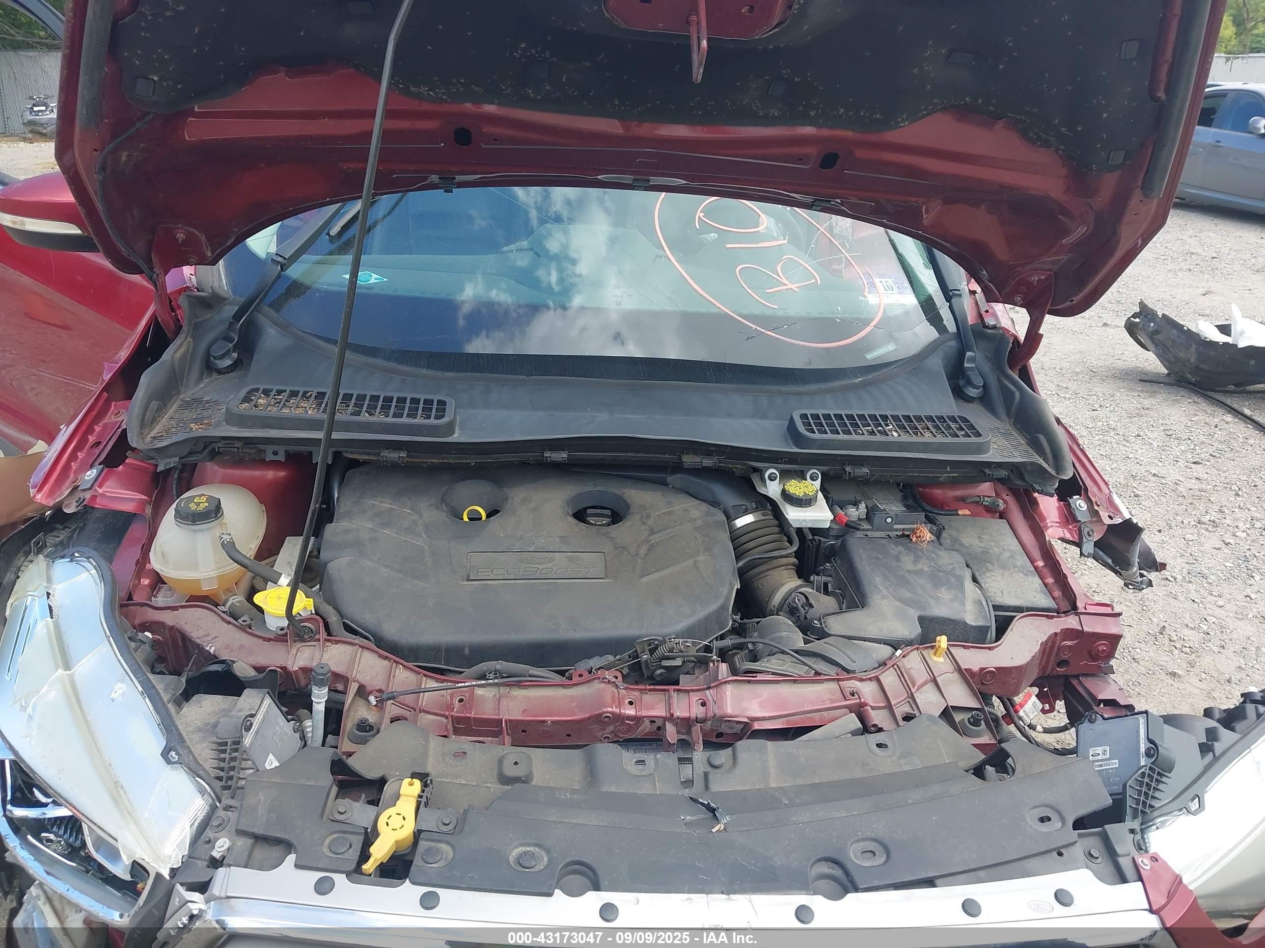 FORD ESCAPE image 10