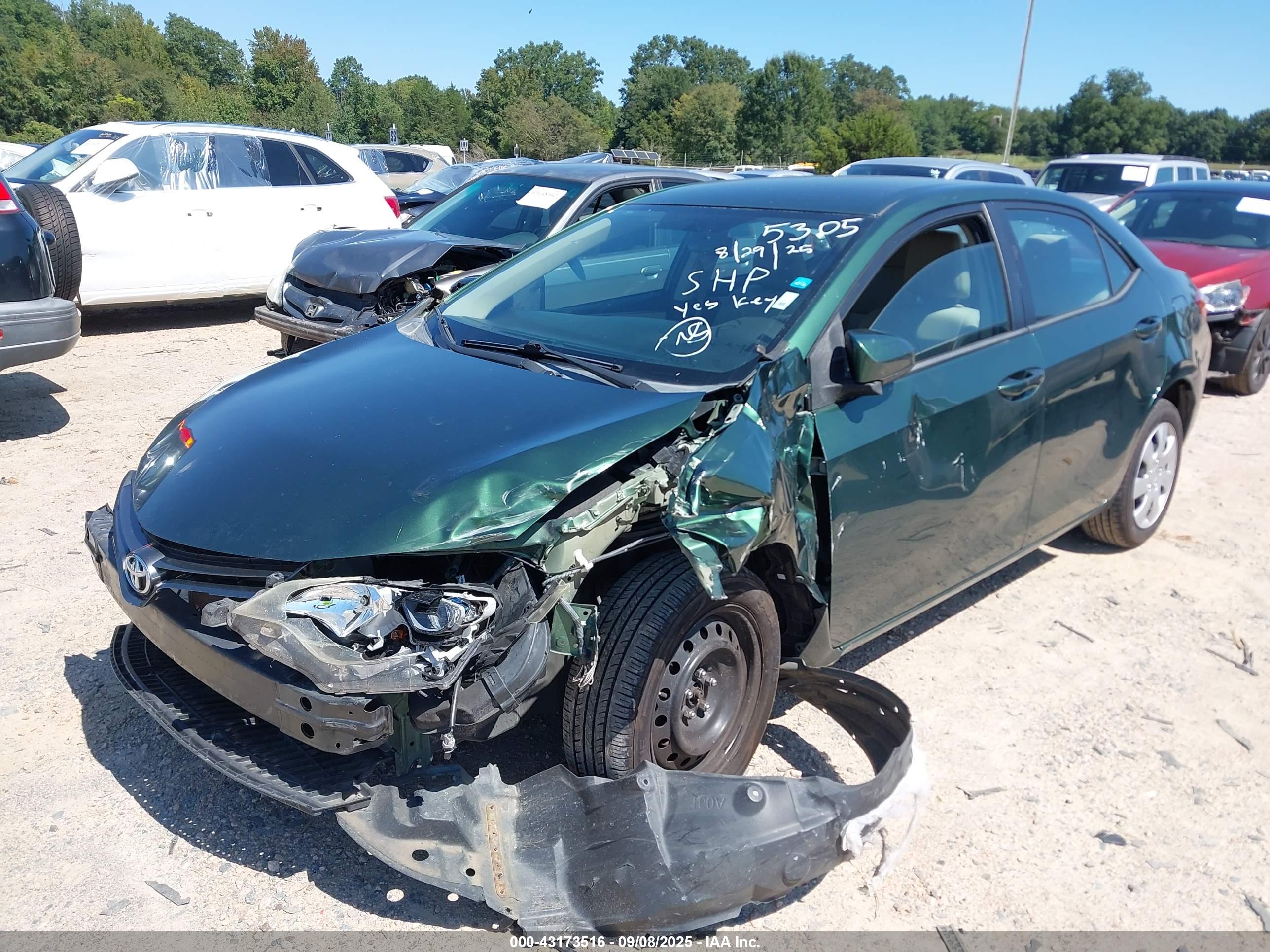 TOYOTA COROLLA image 2