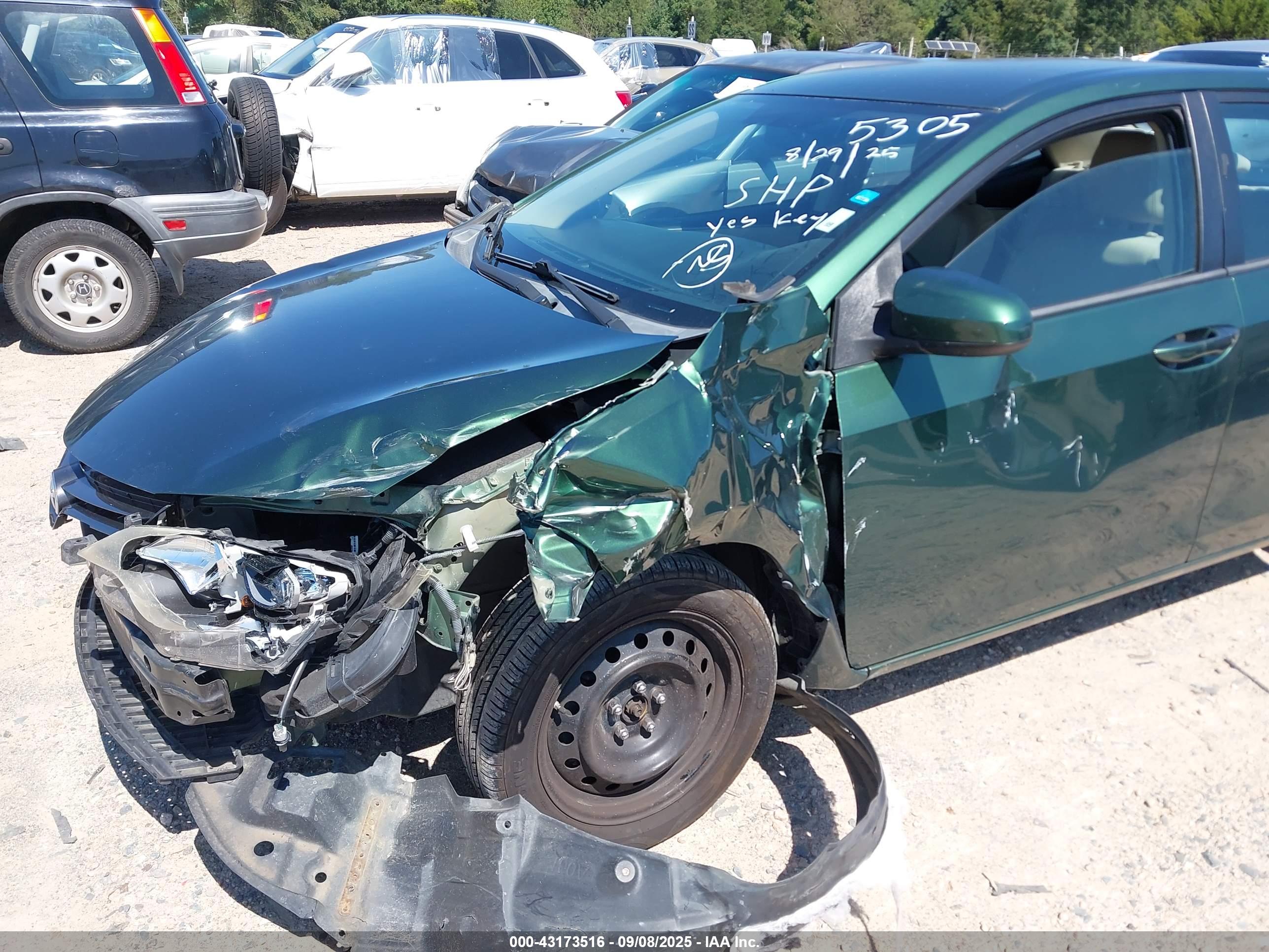 TOYOTA COROLLA image 6
