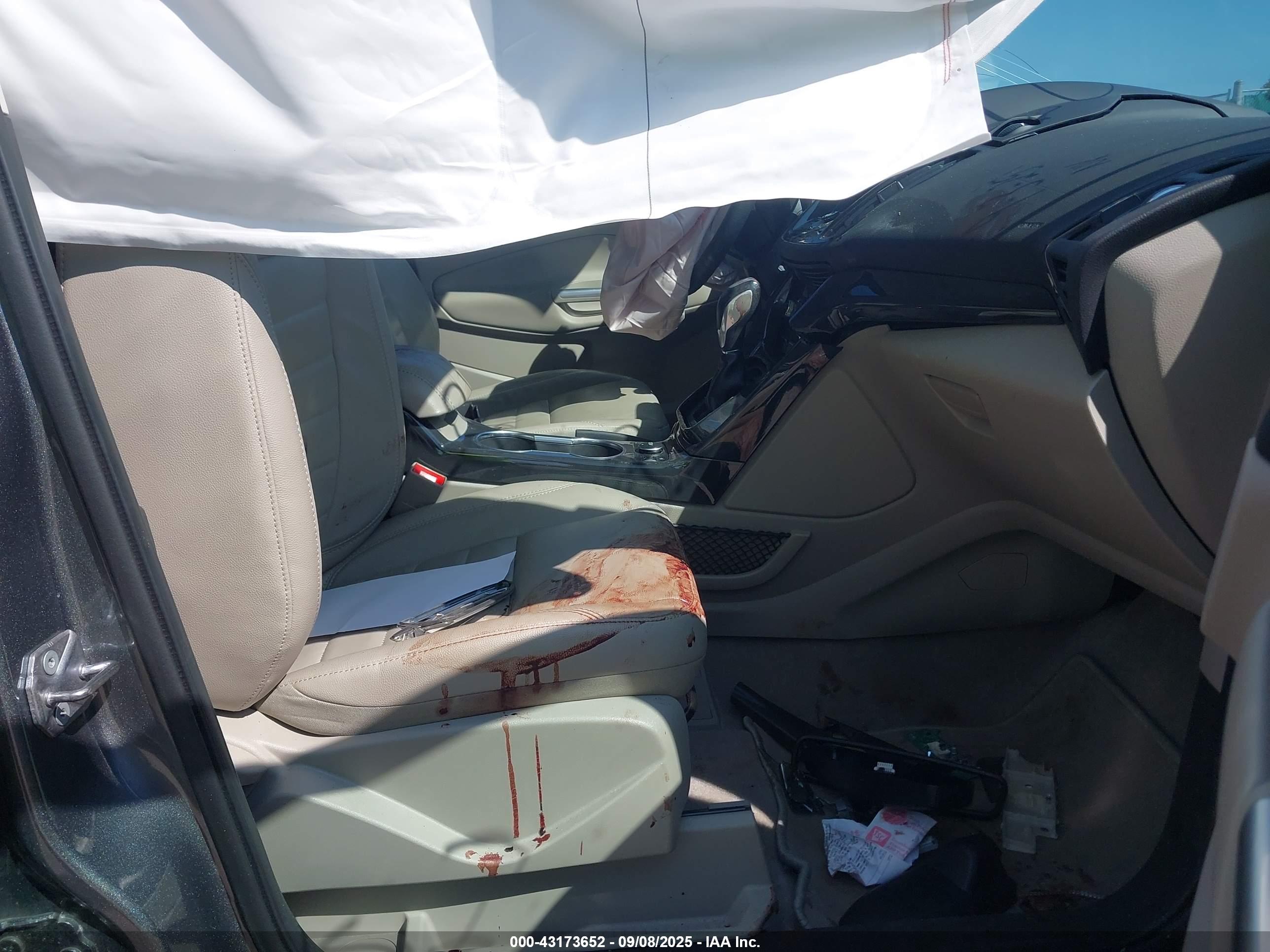 FORD ESCAPE image 5