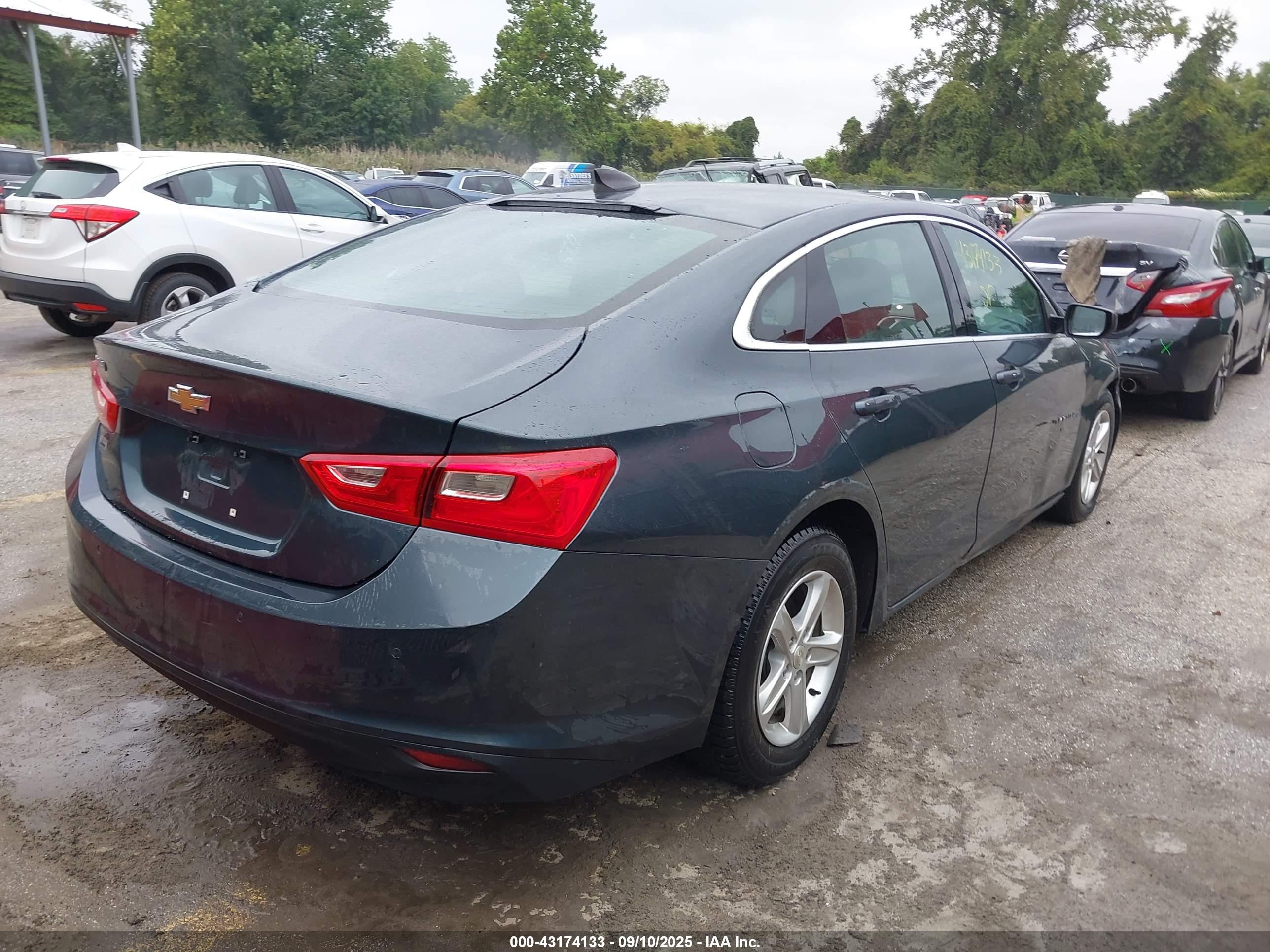 CHEVROLET MALIBU image 4