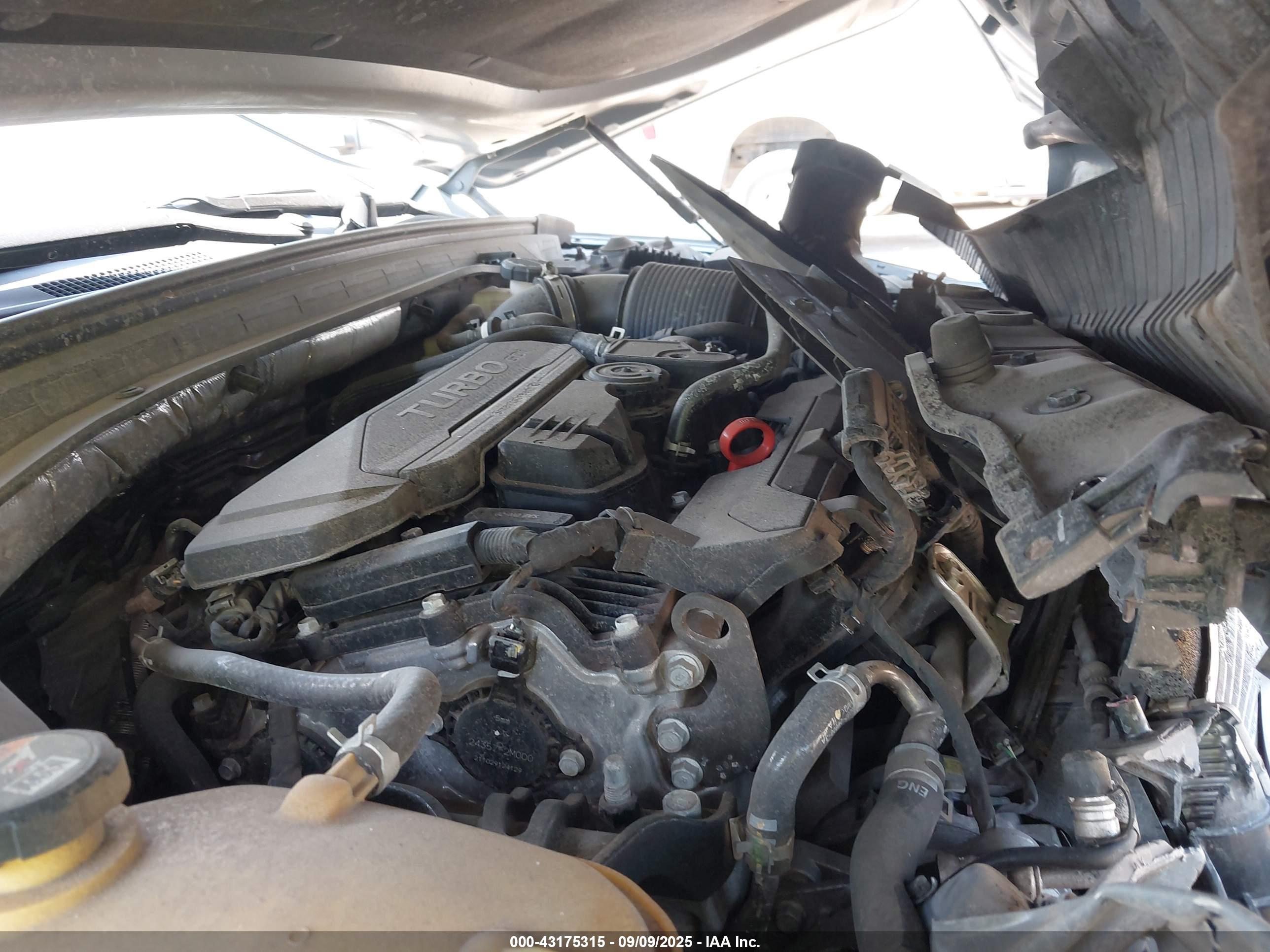 KIA K5 image 10