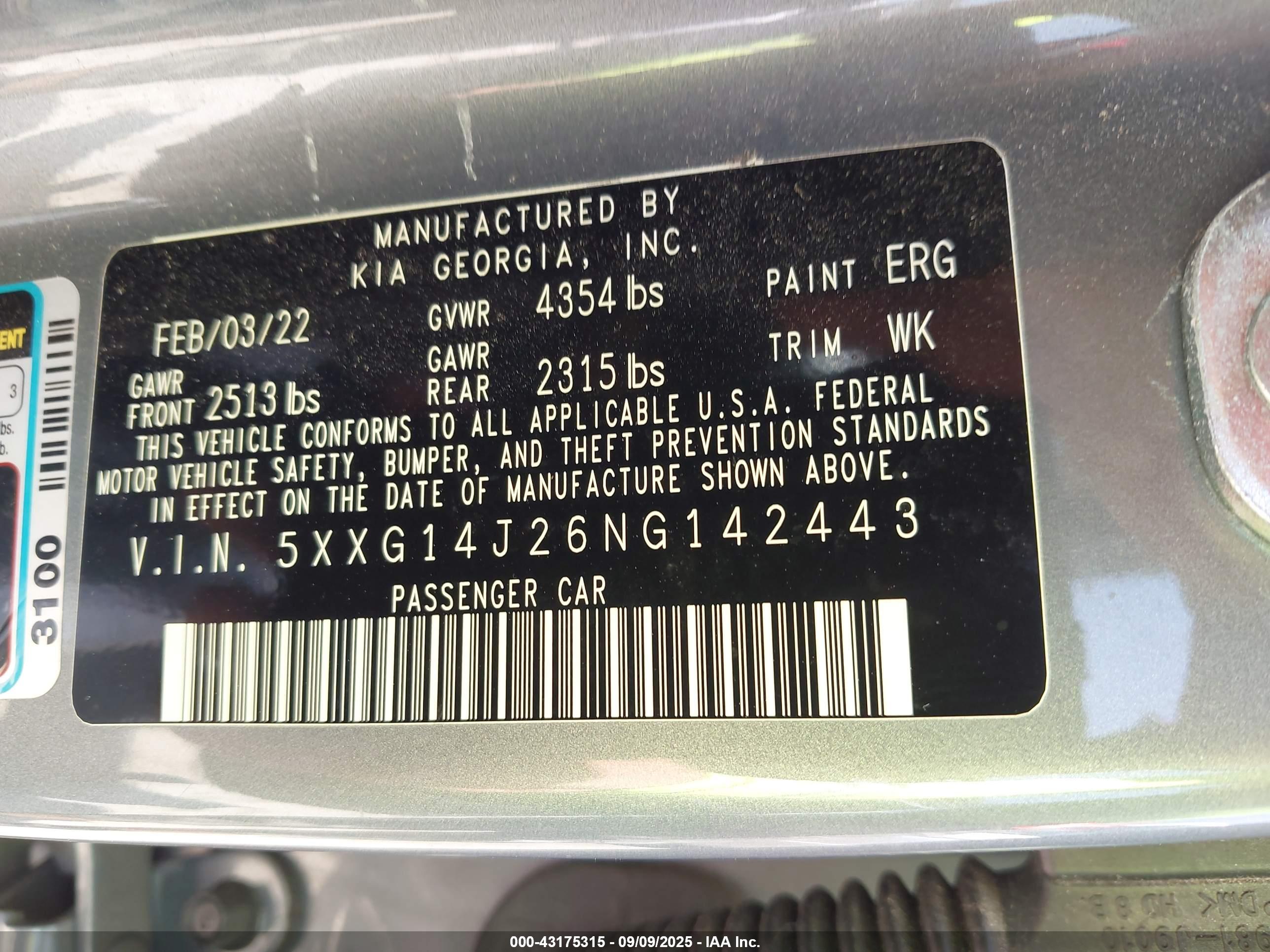 KIA K5 image 9