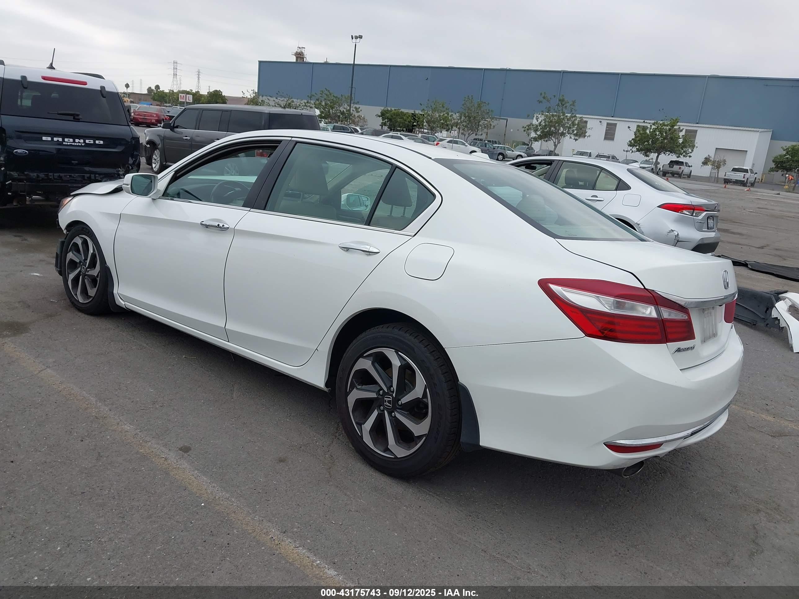 HONDA ACCORD image 3