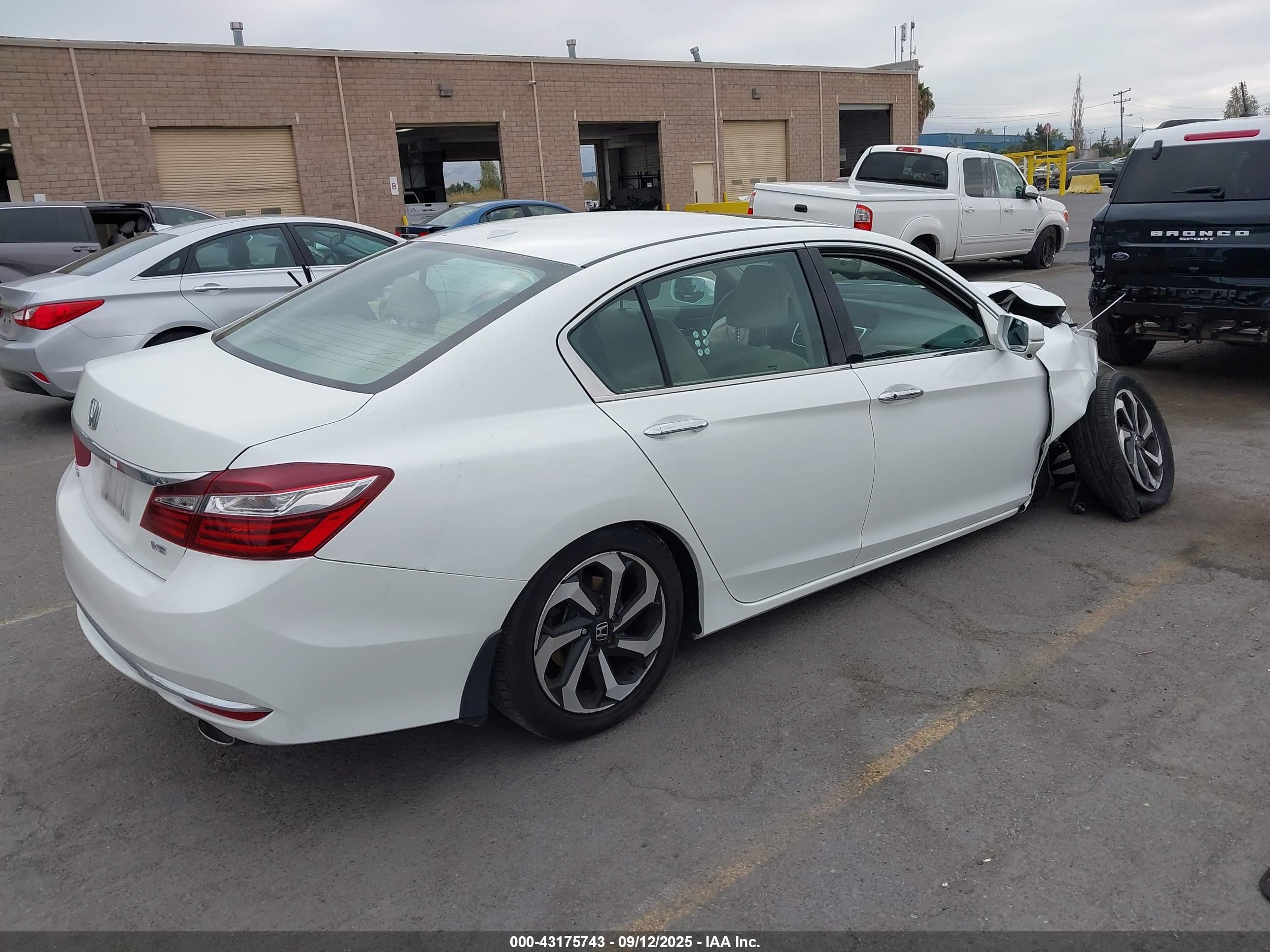 HONDA ACCORD image 4