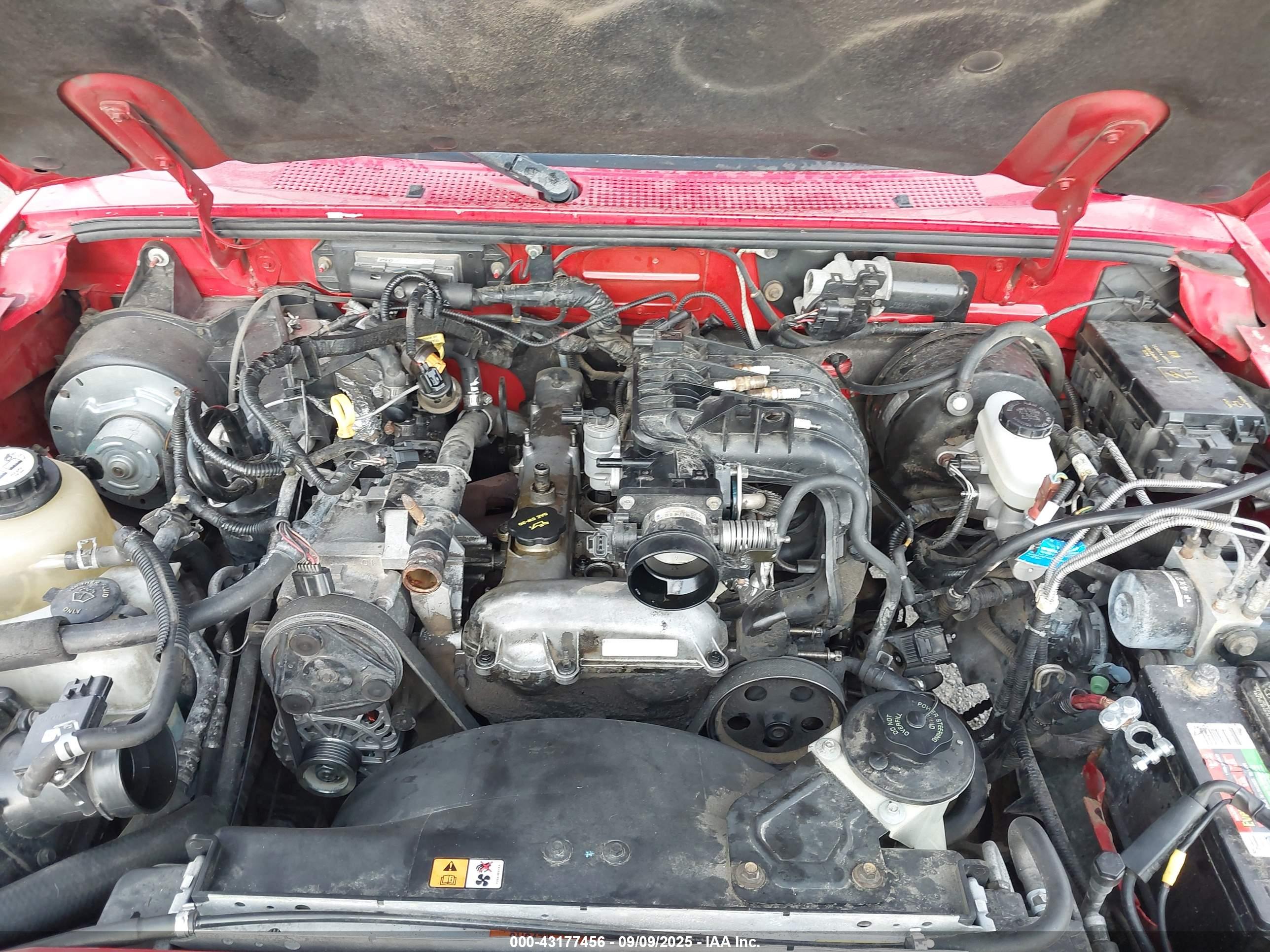 FORD RANGER image 6