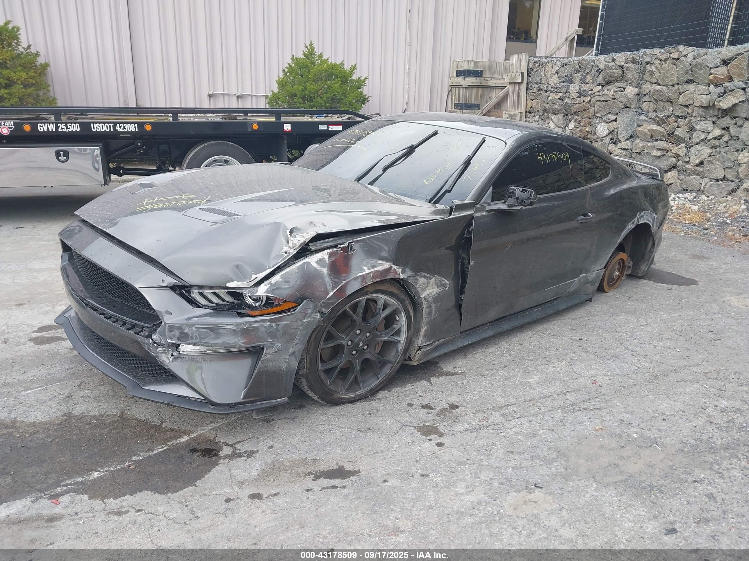 FORD MUSTANG image 2