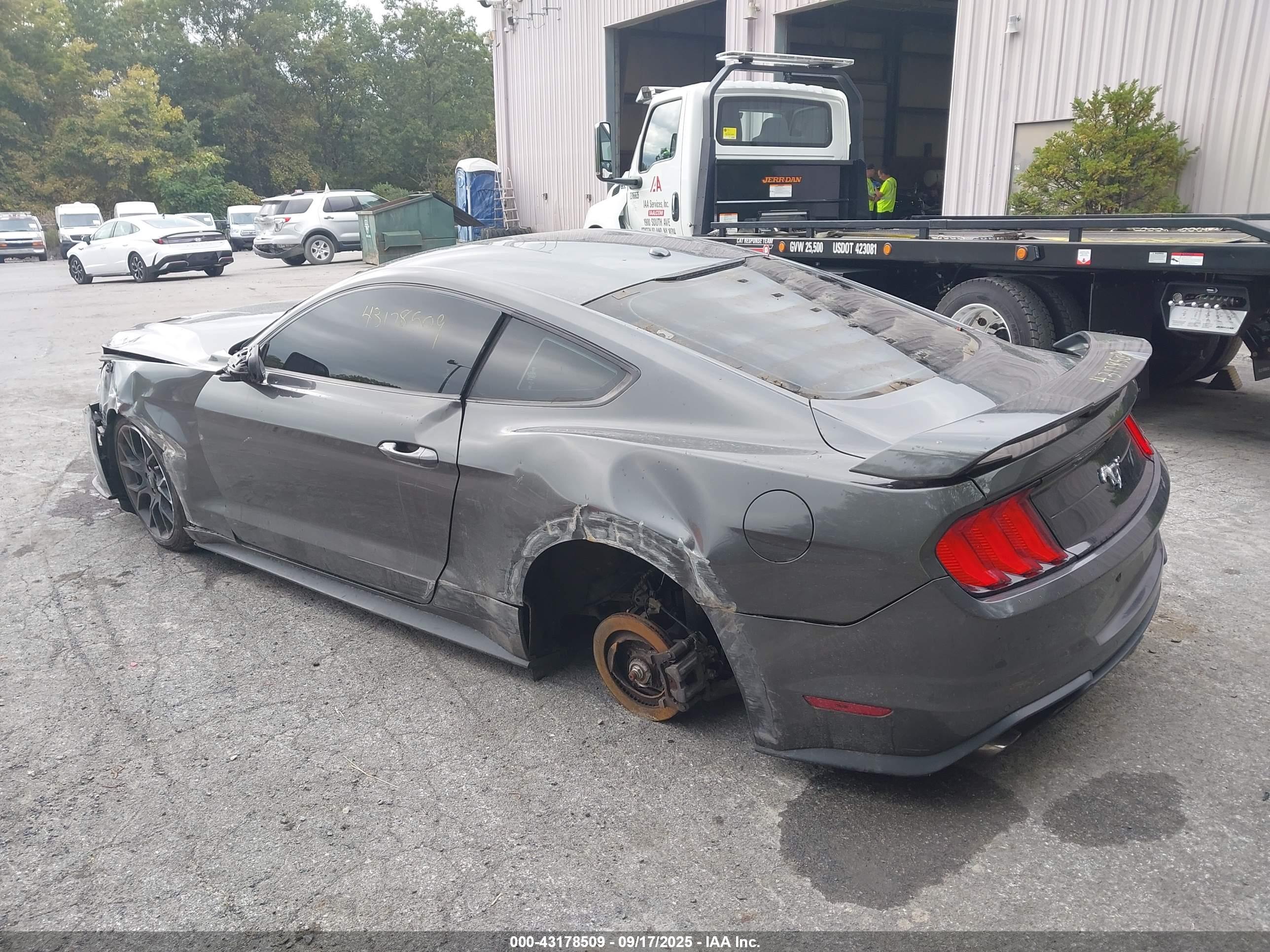 FORD MUSTANG image 3