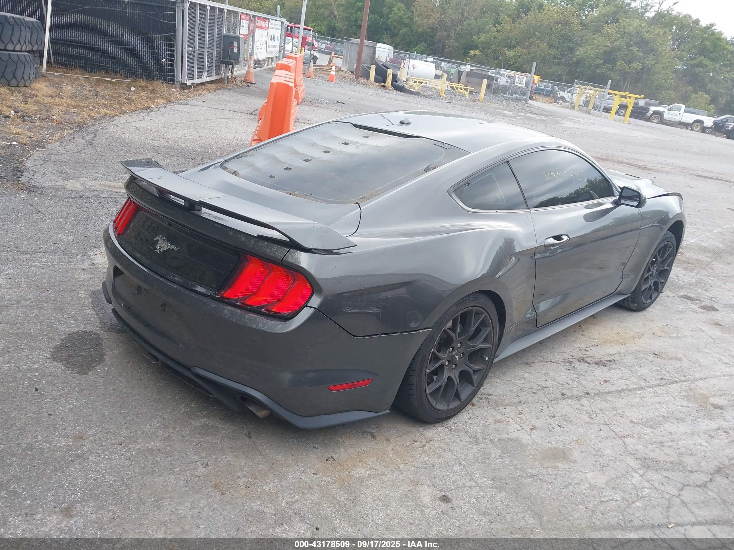 FORD MUSTANG image 4