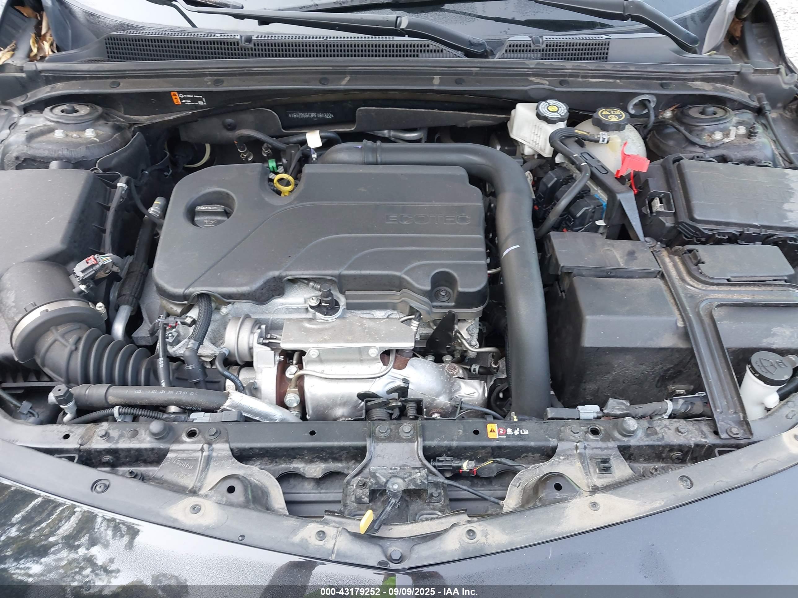 CHEVROLET MALIBU image 10