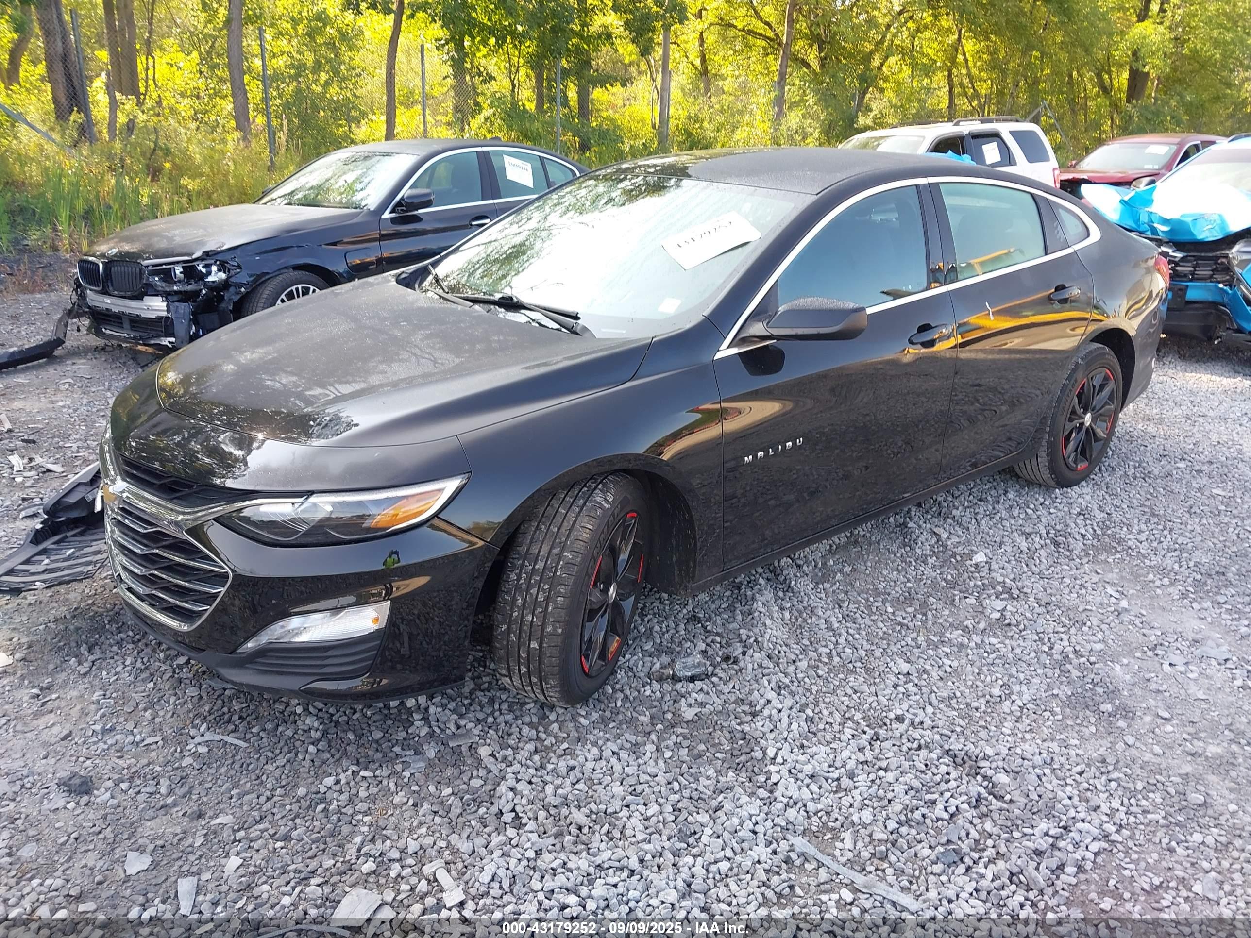 CHEVROLET MALIBU image 2