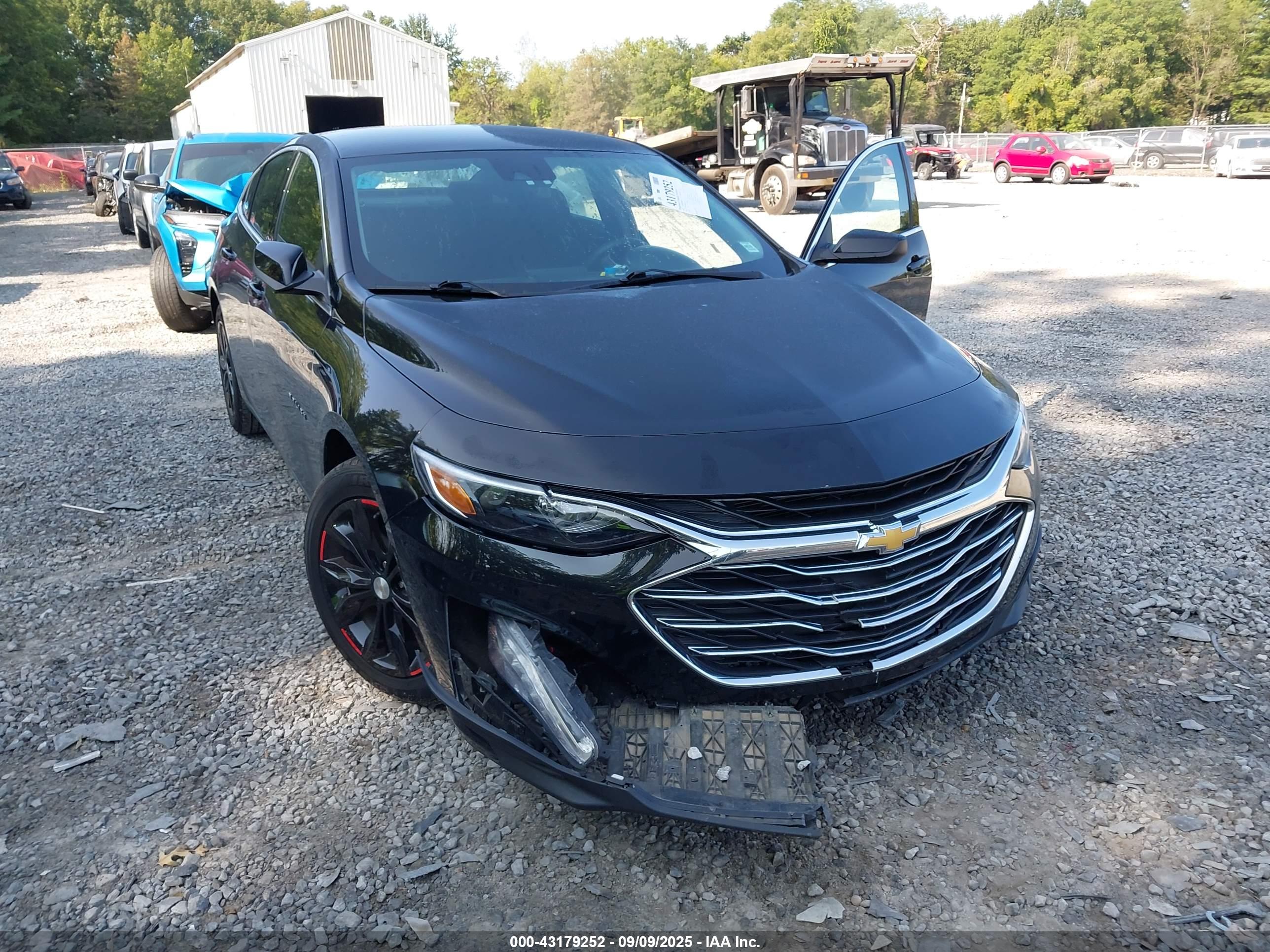 CHEVROLET MALIBU image 6