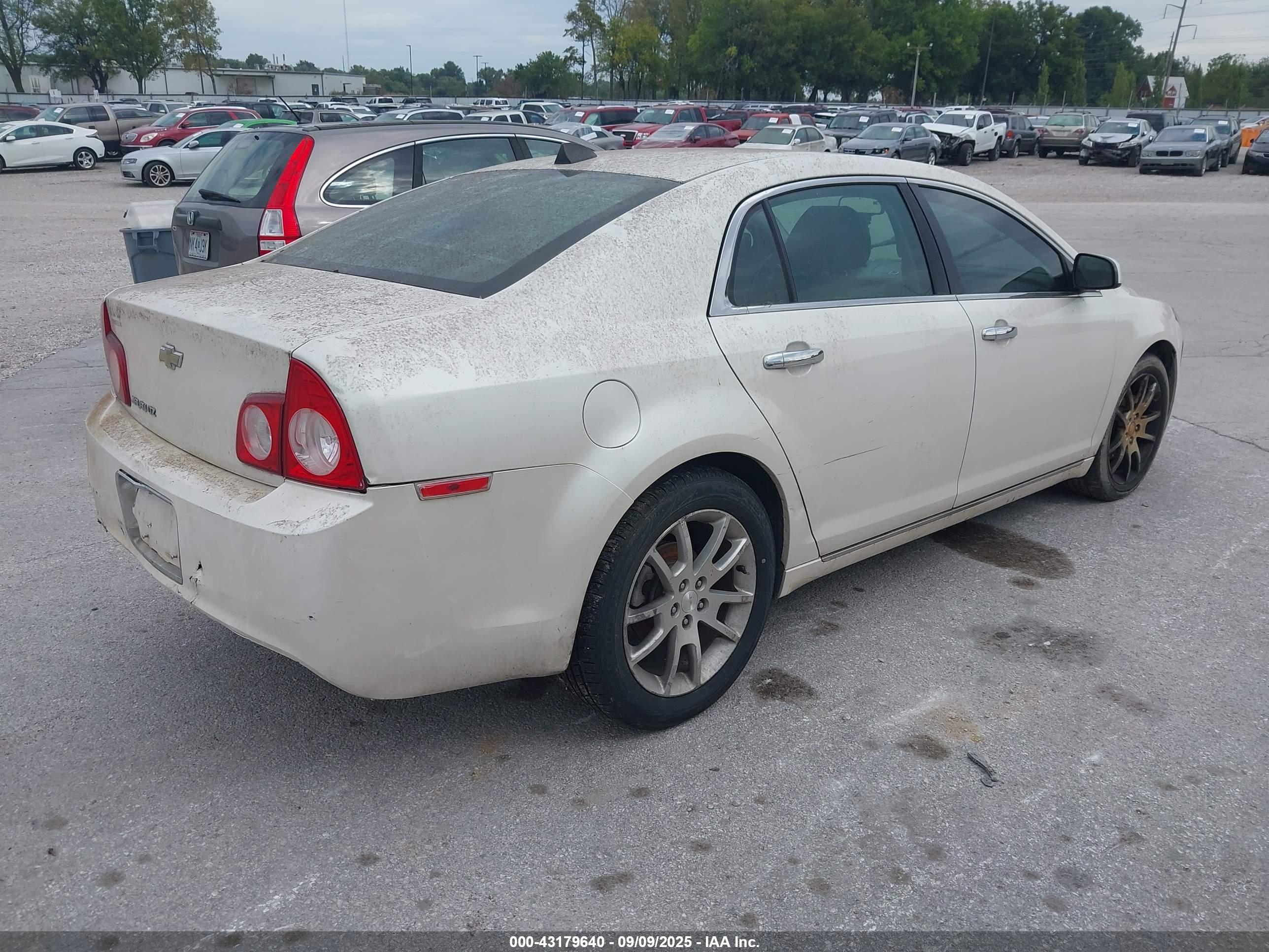 CHEVROLET MALIBU image 4