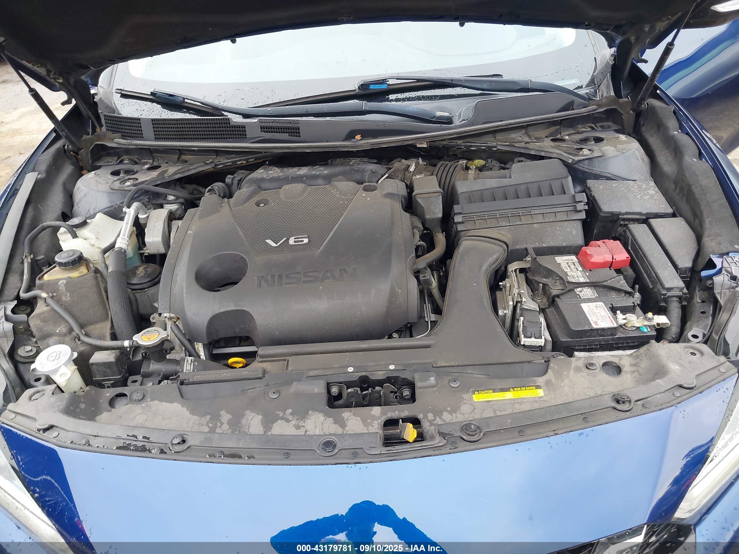 NISSAN MAXIMA image 10