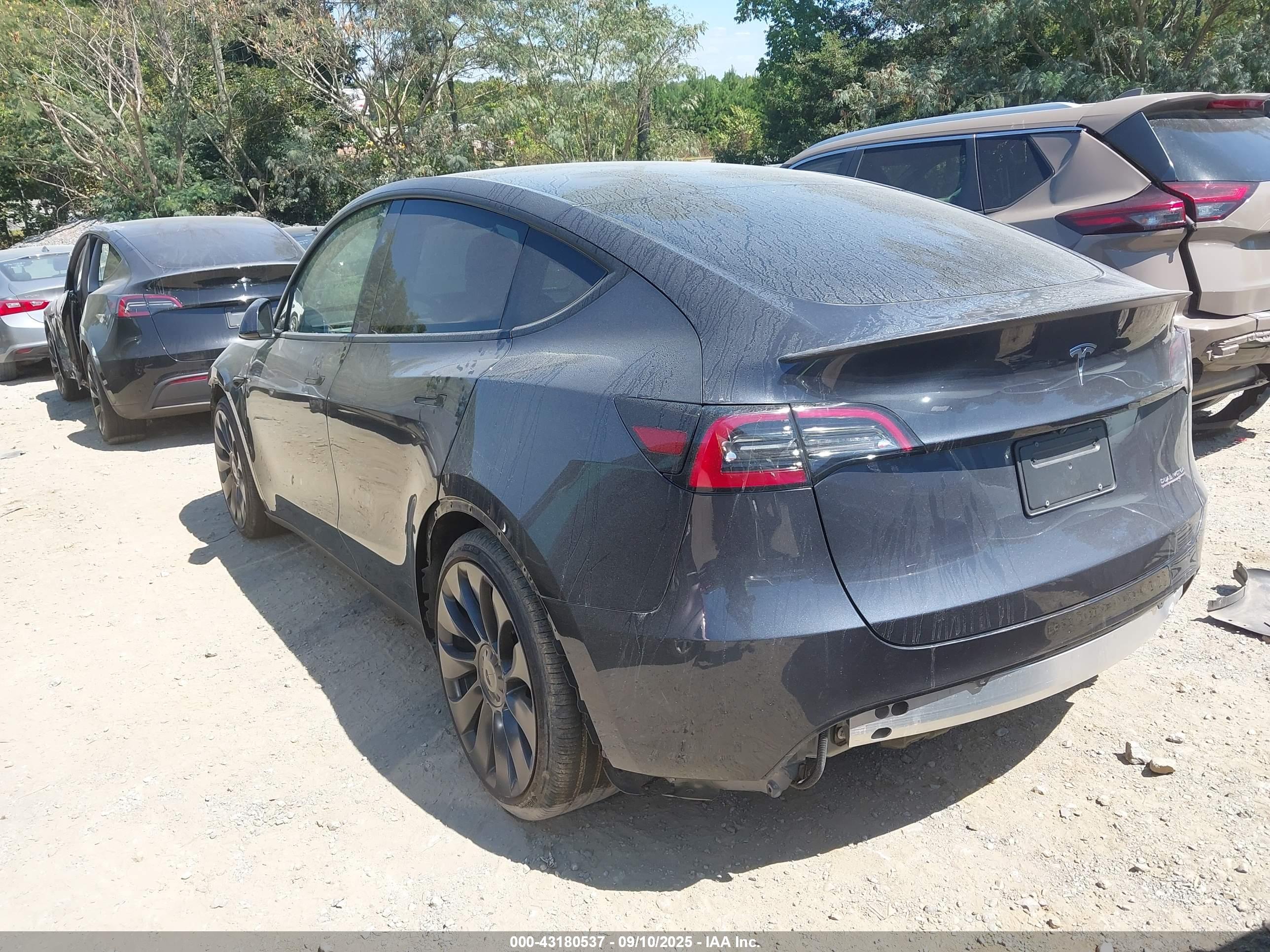 TESLA MODEL image 3