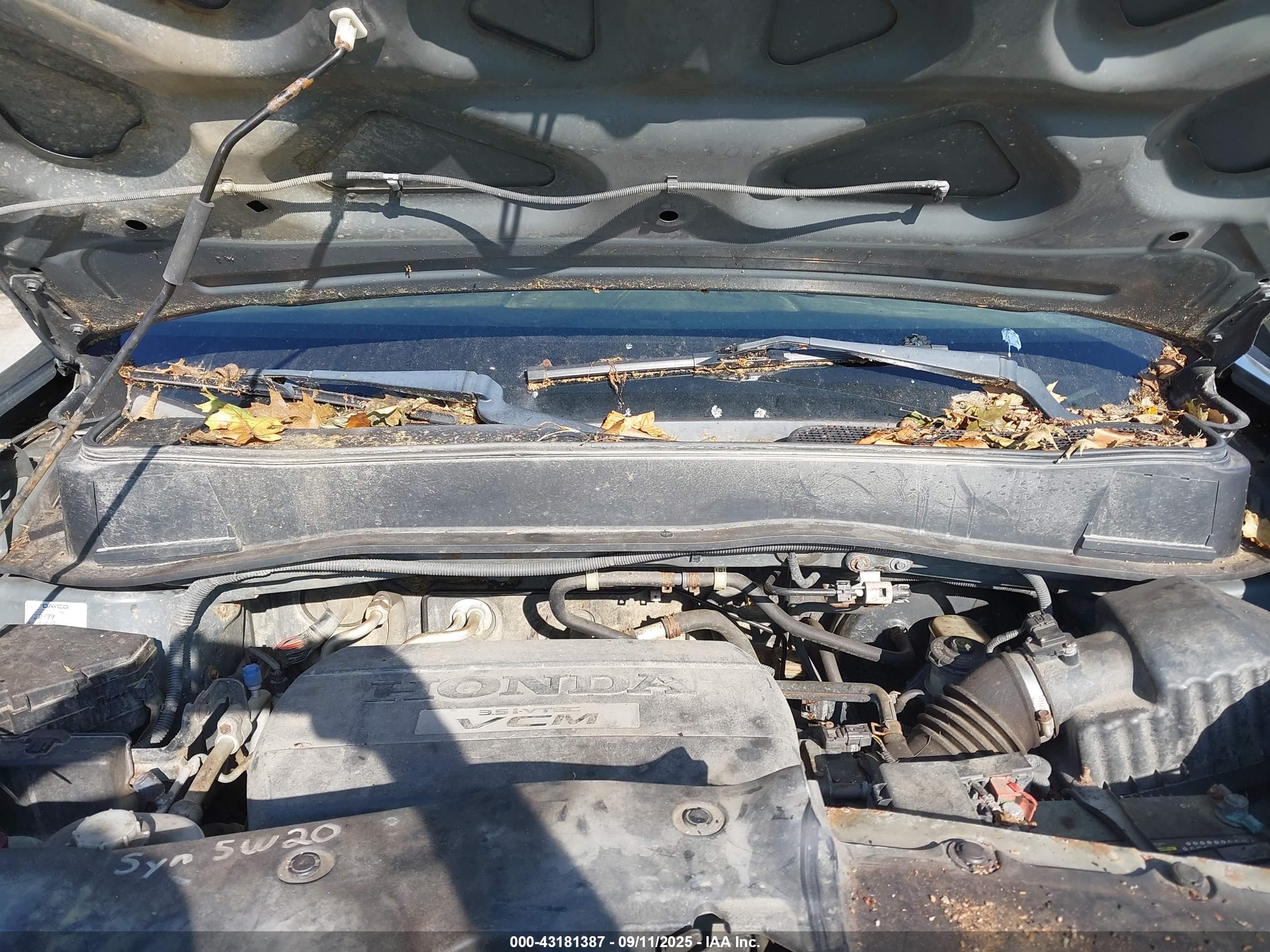 HONDA PILOT image 10